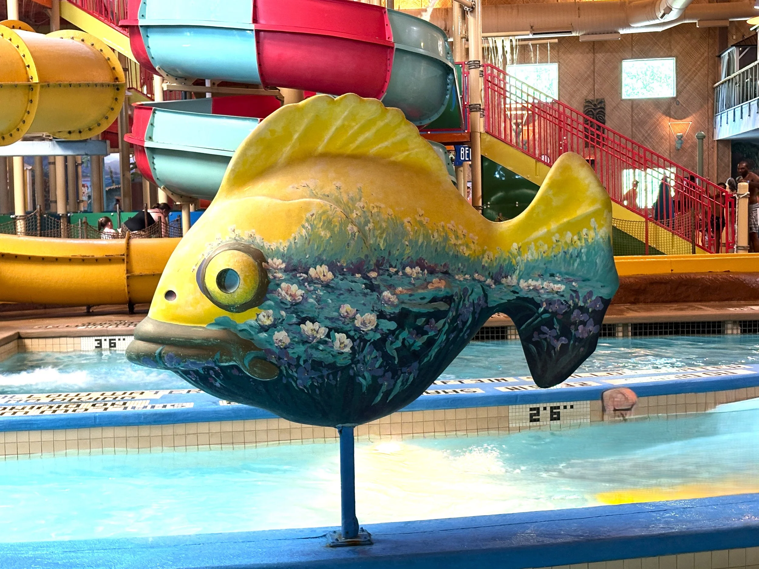 Splash Lagoon, 8091 Peach St