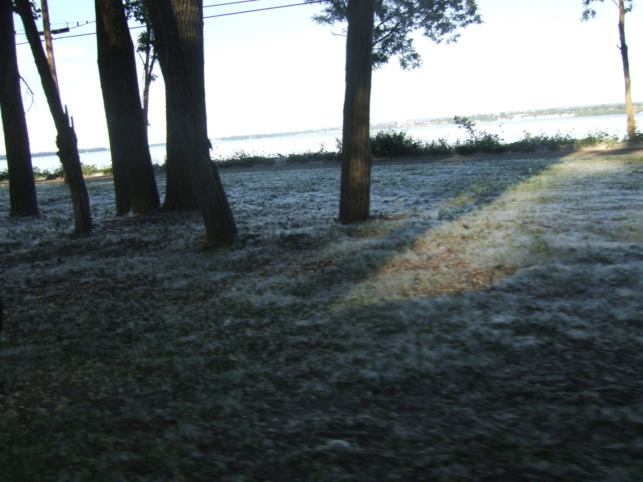 June Snow in Erie: The Weather Oddity That Kicks off Summer — Weird Erie