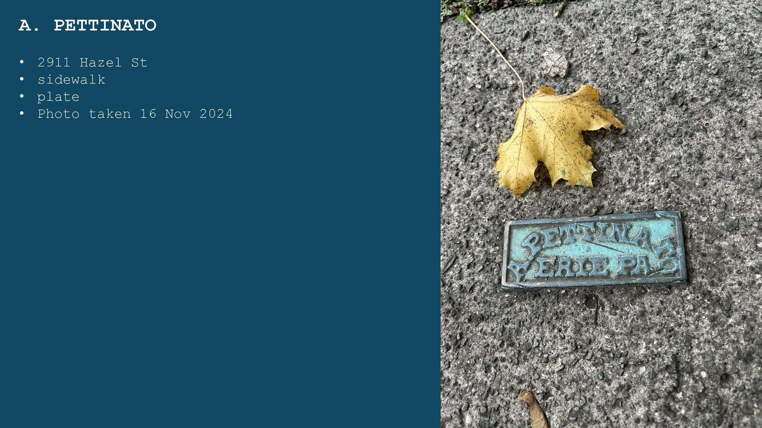 A sidewalk with a yellow fallen leaf and a blue-green metal plaque that reads 'PETTINA F.EROE PLA' with a background of asphalt.
