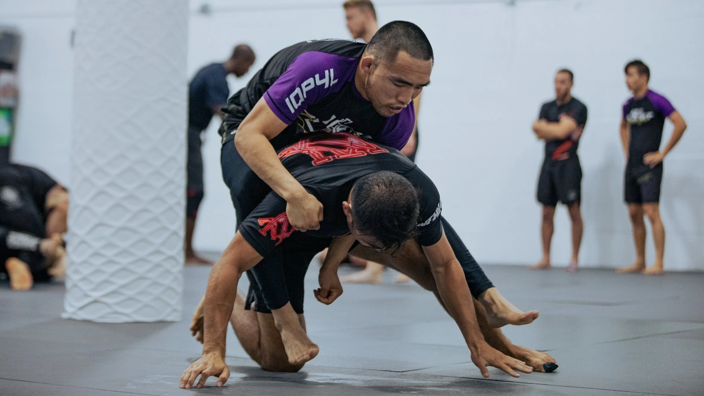 BJJ_78A8650.jpg