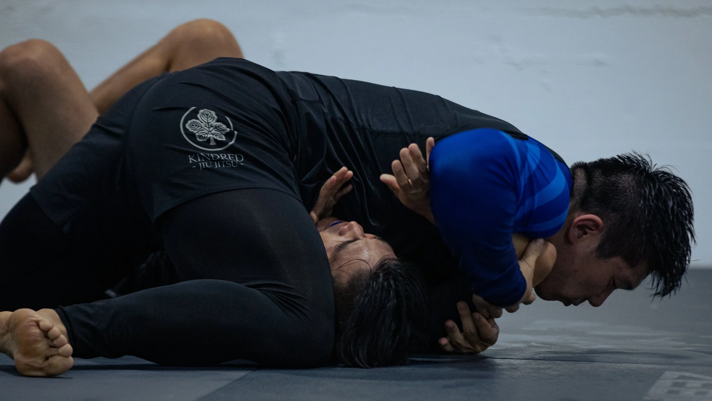 BJJ_78A1052.jpg