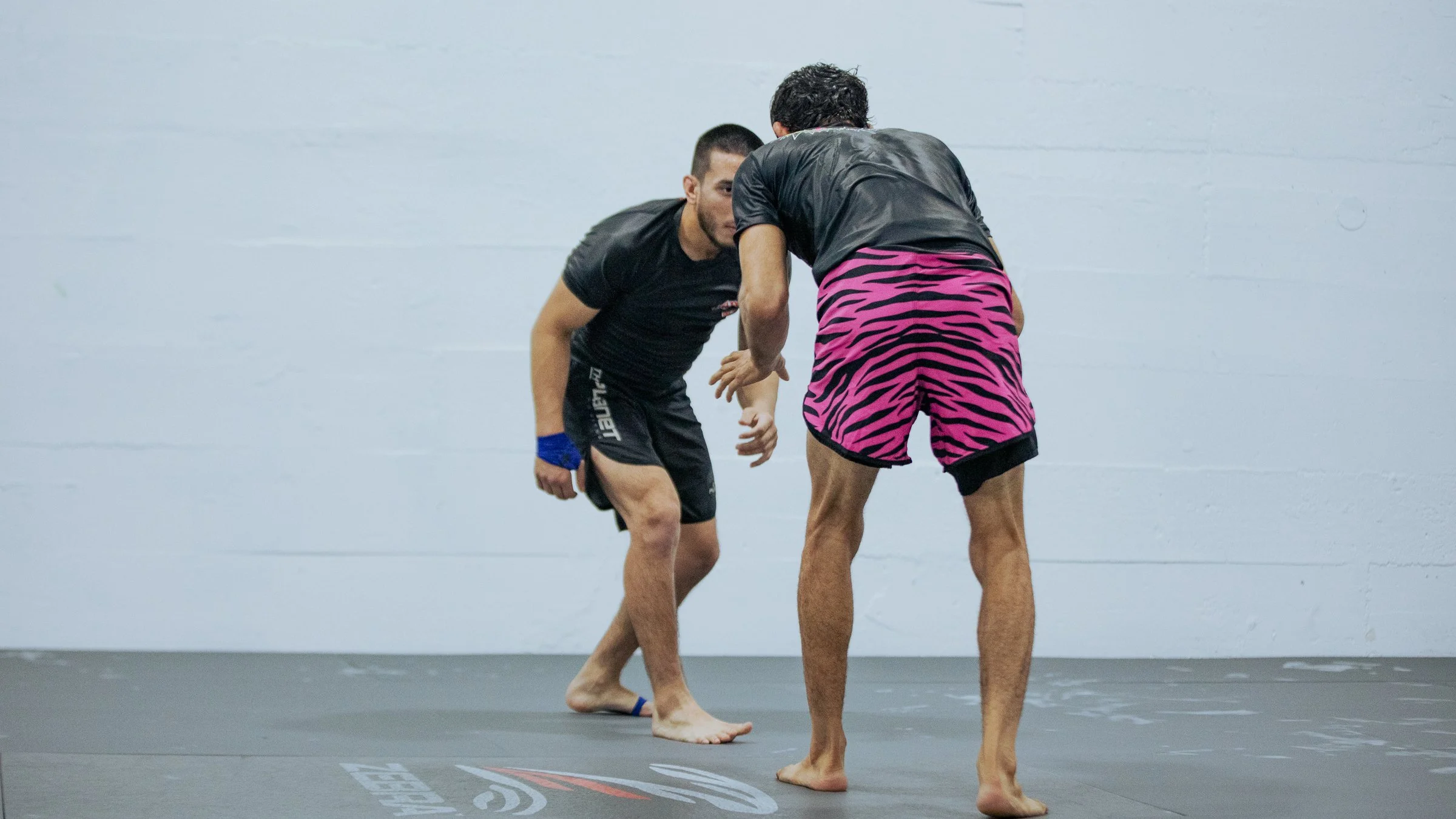 BJJ_78A8967.jpg