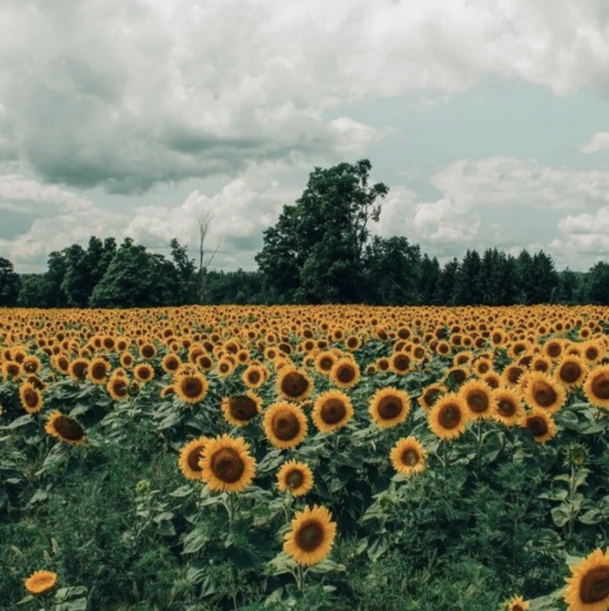 10 Habits That Lead To High School Success