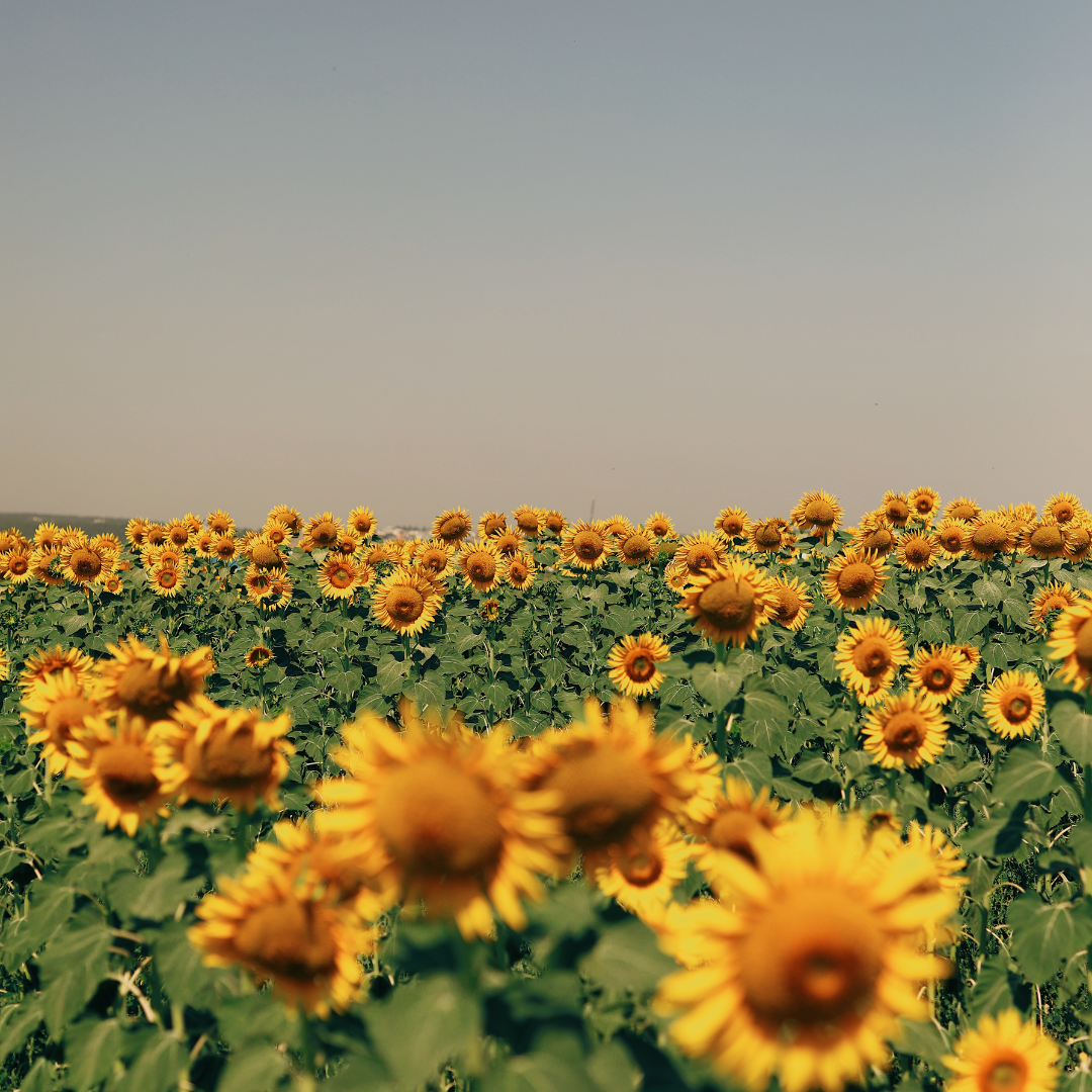 15 Things I’ve Learned From Being A Teenager!