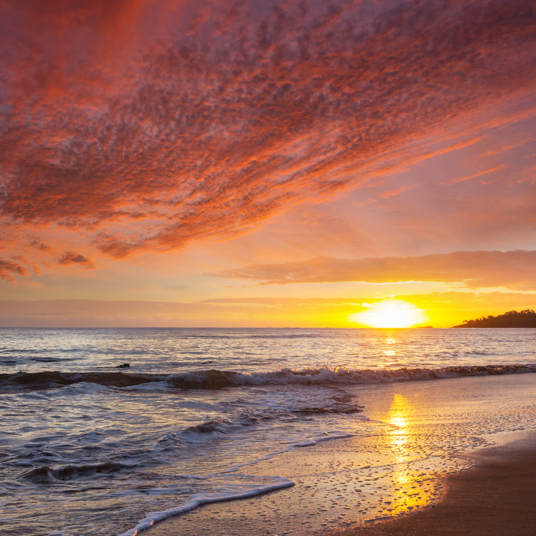 The Art Of Getting What You Want!