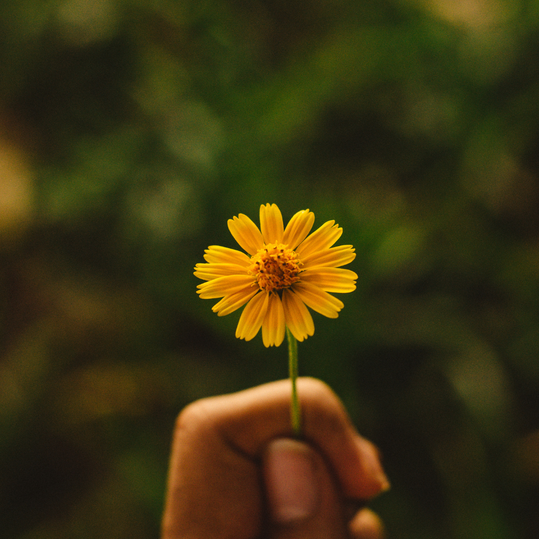 How To Change Your Mindset To Live A Happy, Fulfilling and Successful Life!