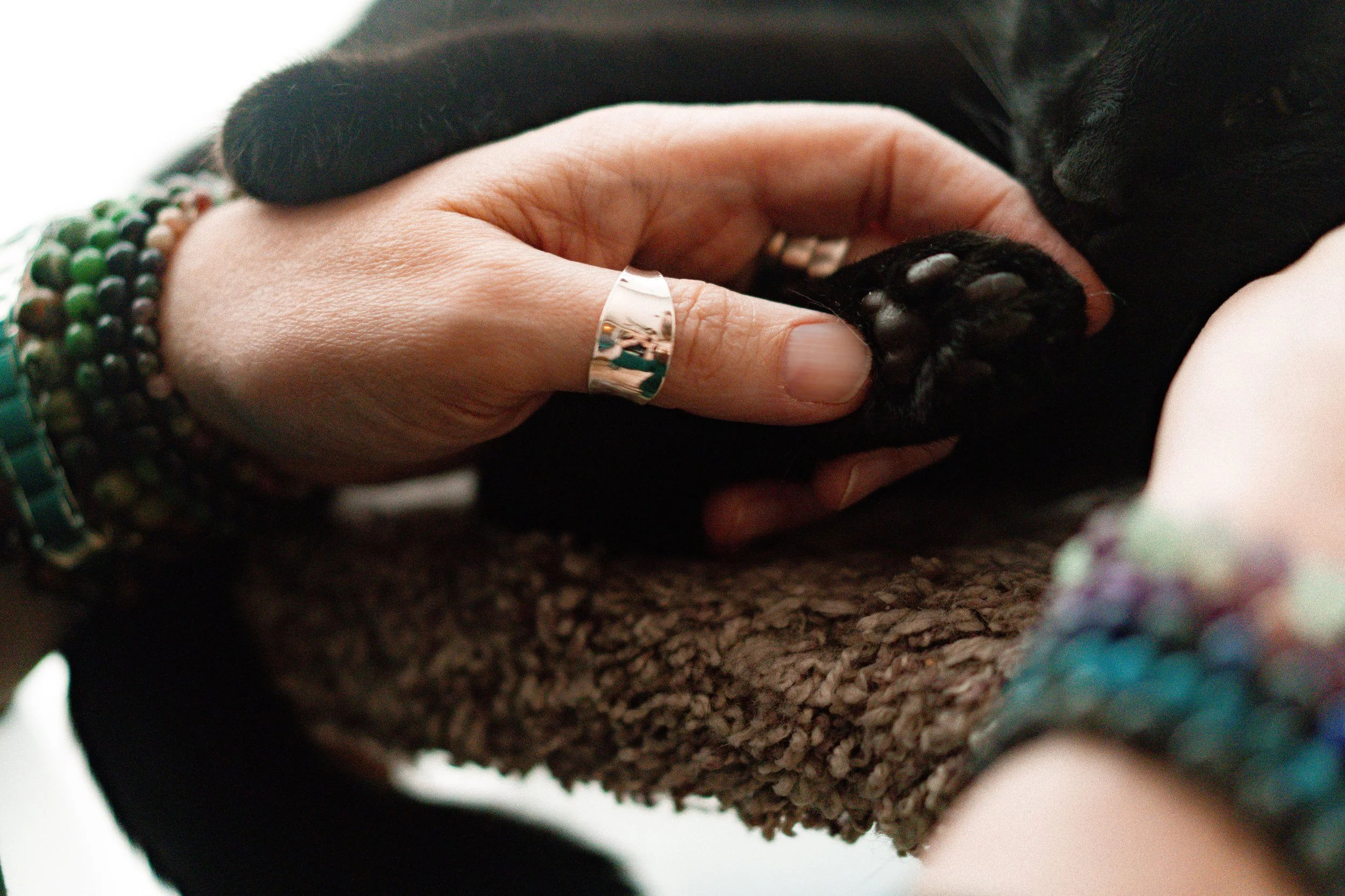 A person gently holding and licking a black dog's paw while lying on a carpeted surface.