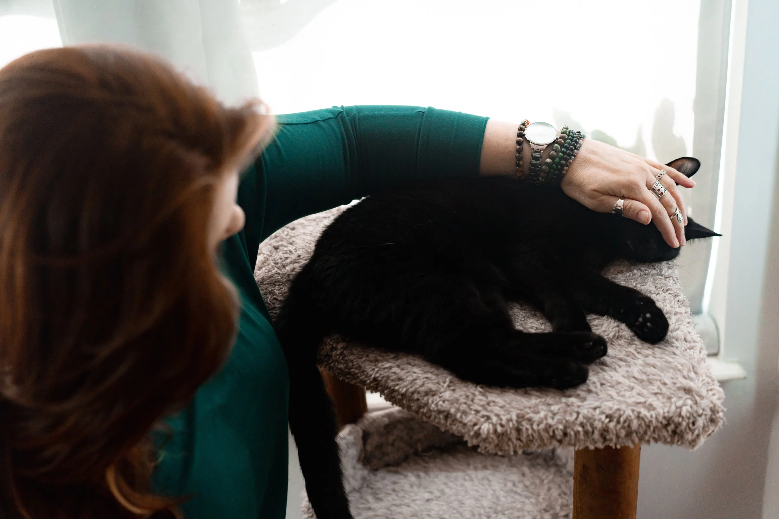 Pet psychic performing animal communication on a black cat.