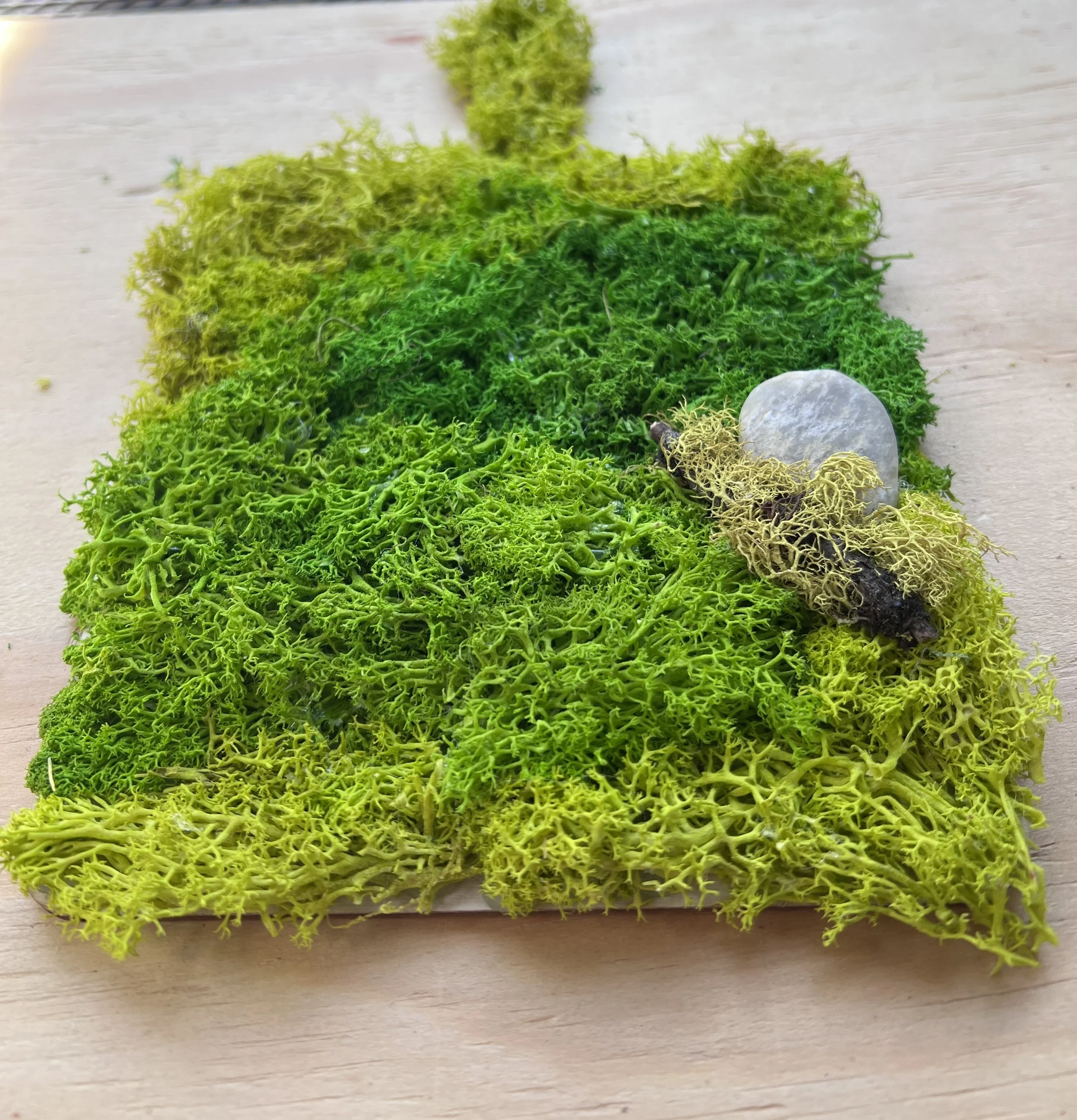 Spring Twig and Stone 2.jpg