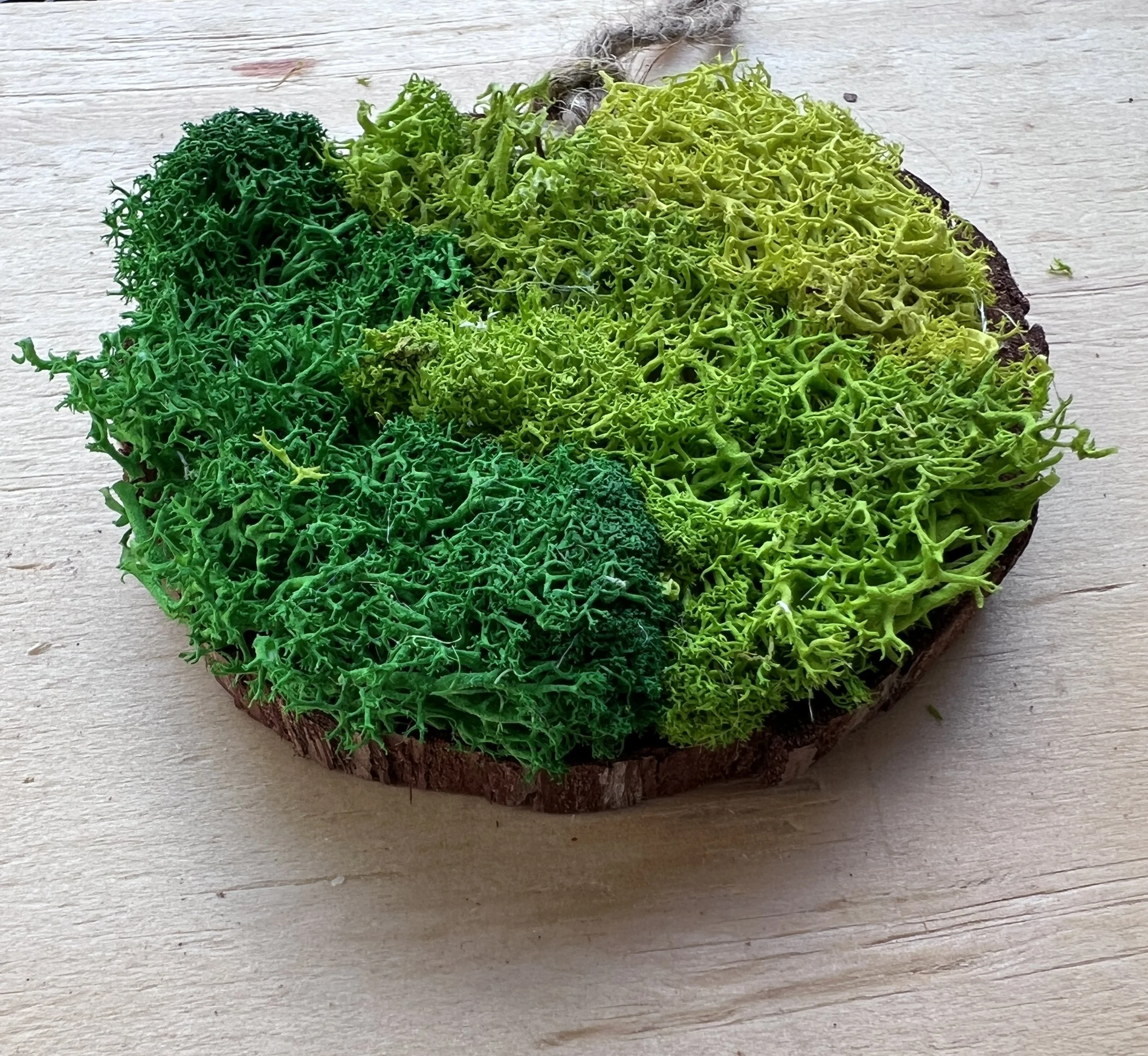 Green Spring 2.jpg