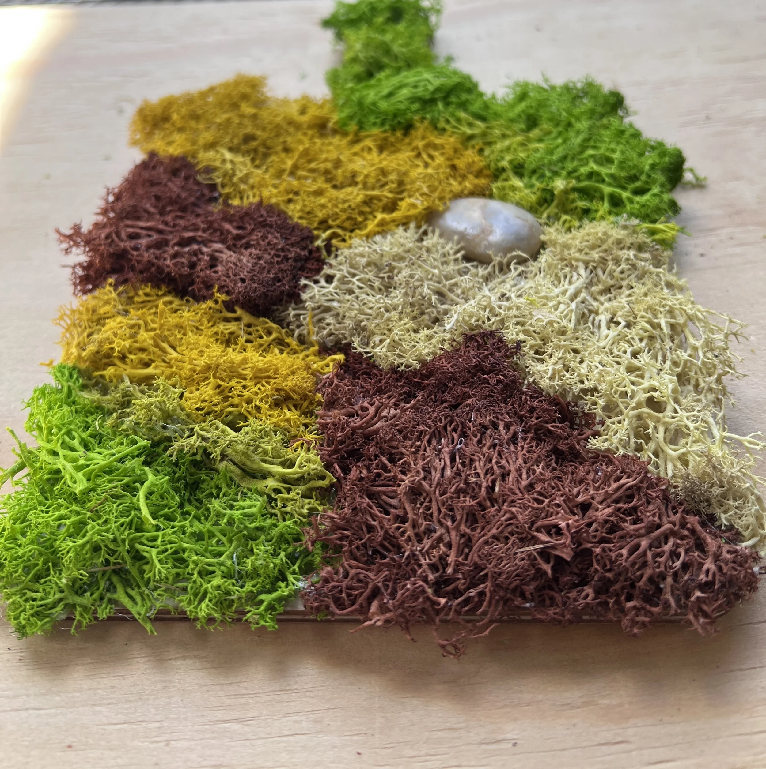 Colorful and Stone 2.jpg
