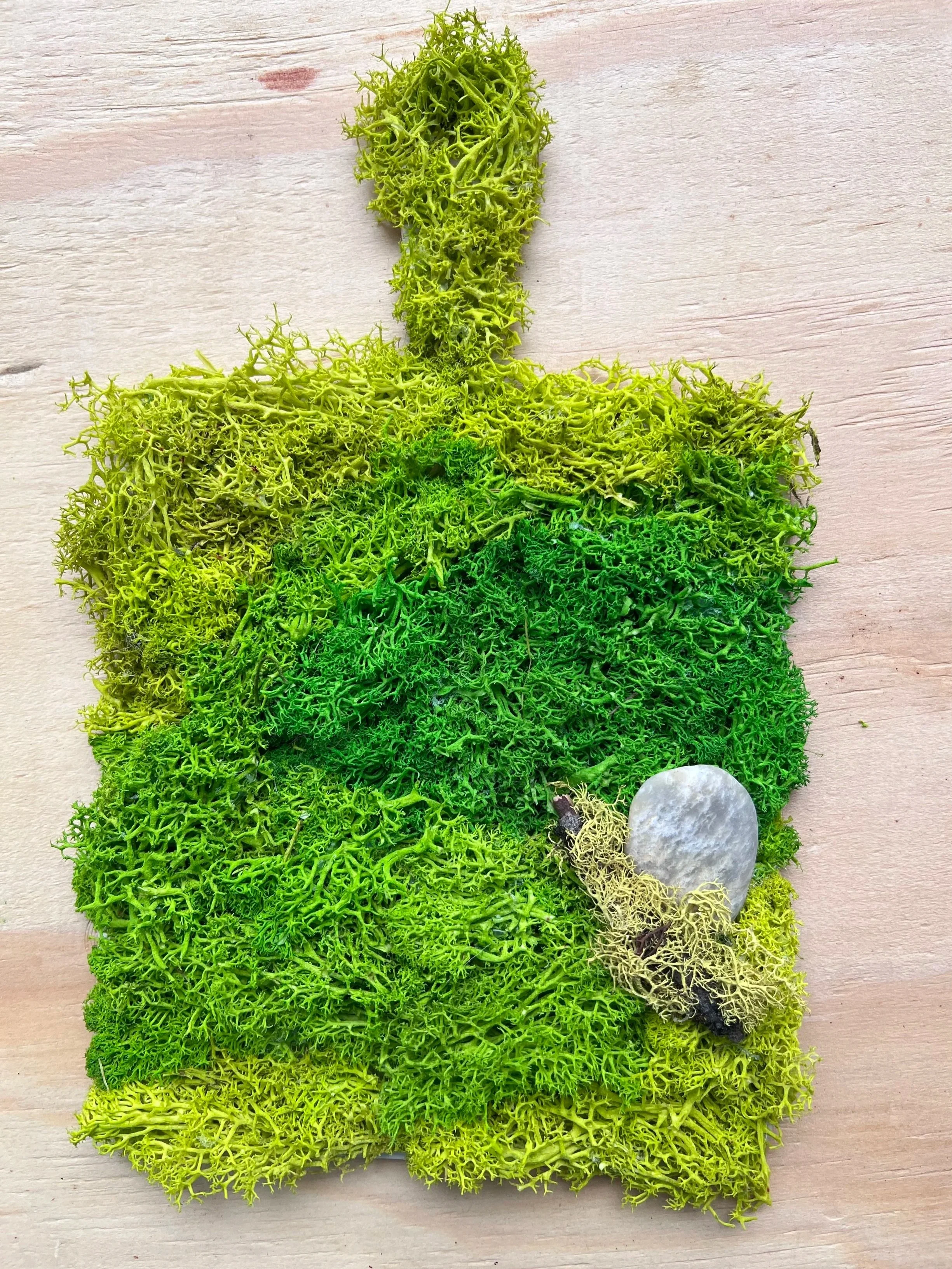 Moss Wall Art on Wooden Paddle - Spring Twig + Stone
