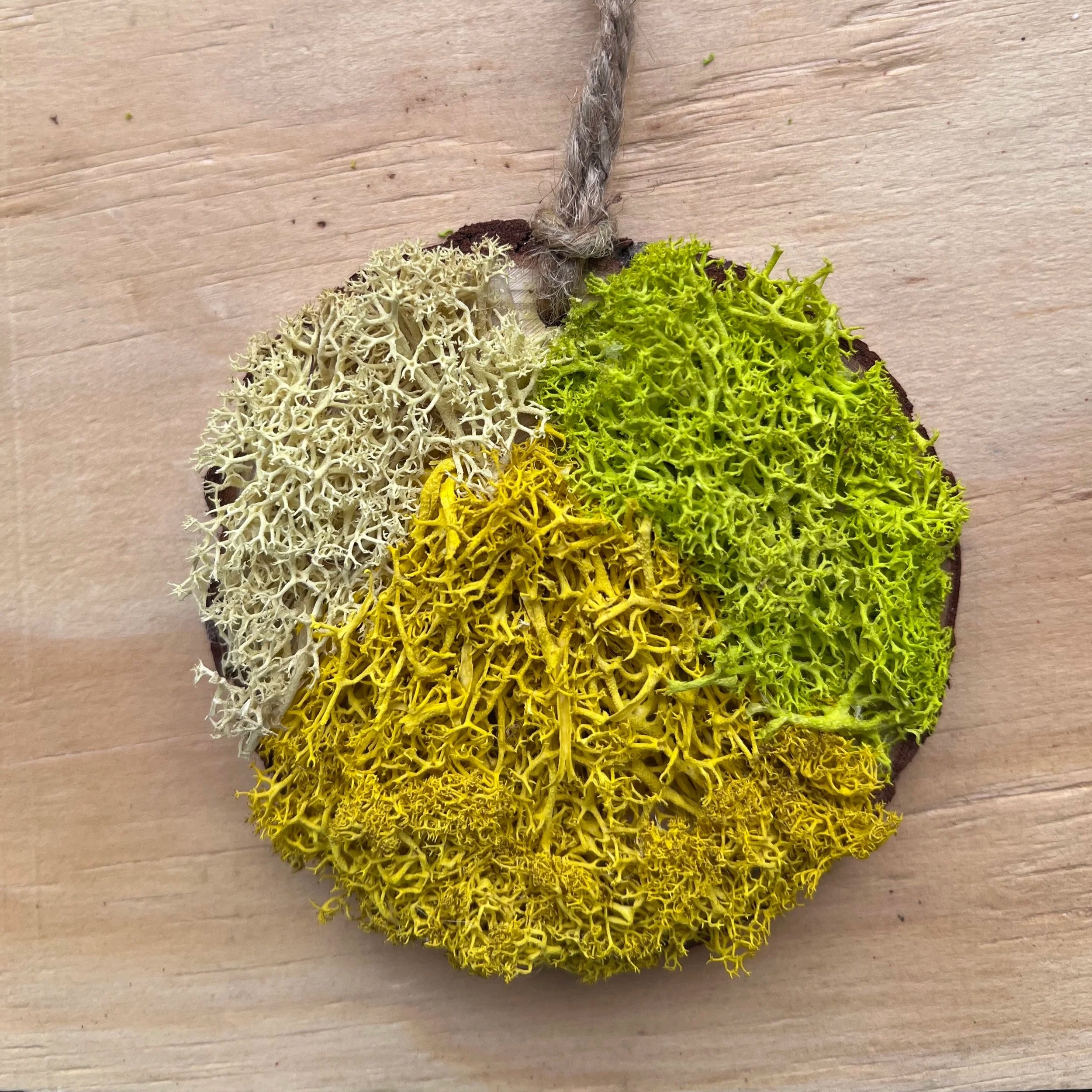 Moss Art Ornament - Spring Peace