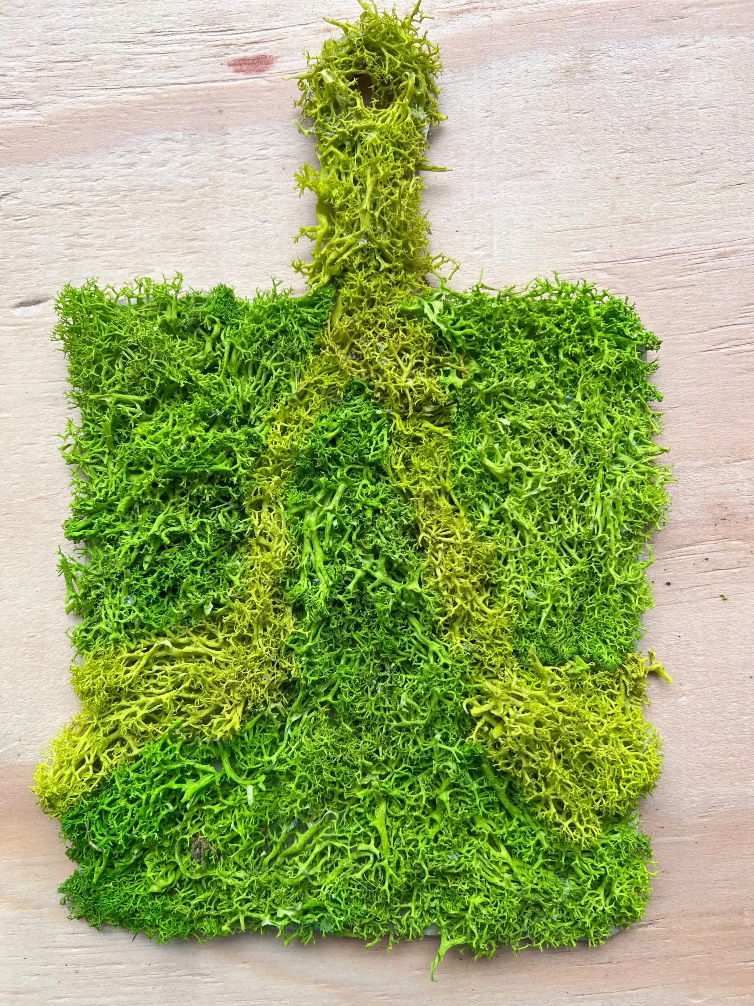 Moss Wall Art on Wooden Paddle - Springtime
