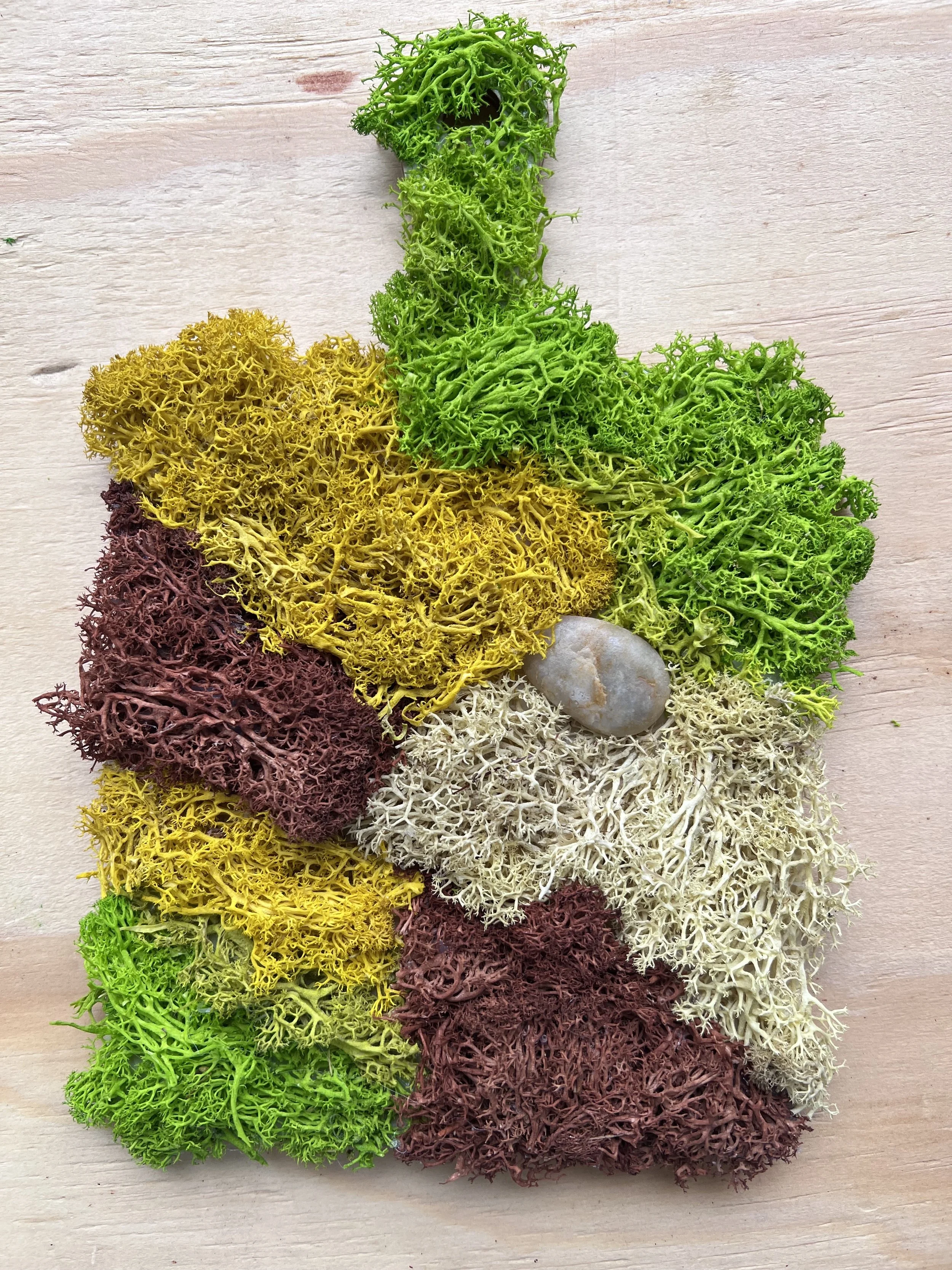 Moss Wall Art on Wooden Paddle - Colorful + Stone