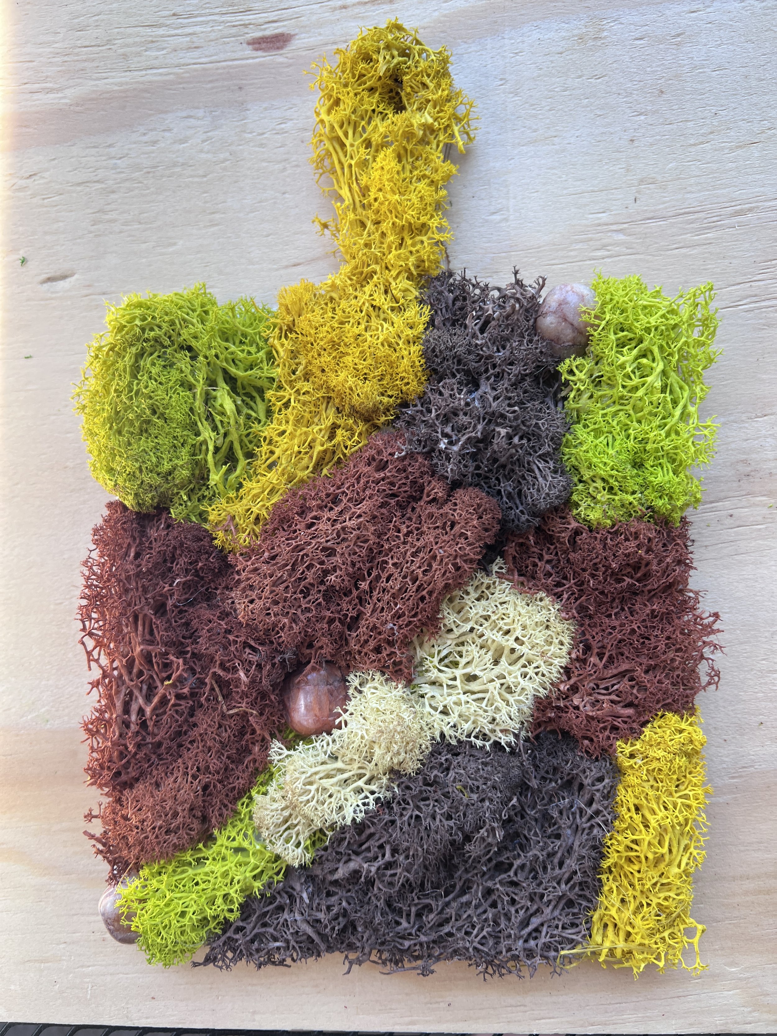 Moss Wall Art on Wooden Paddle - Change of Seasons