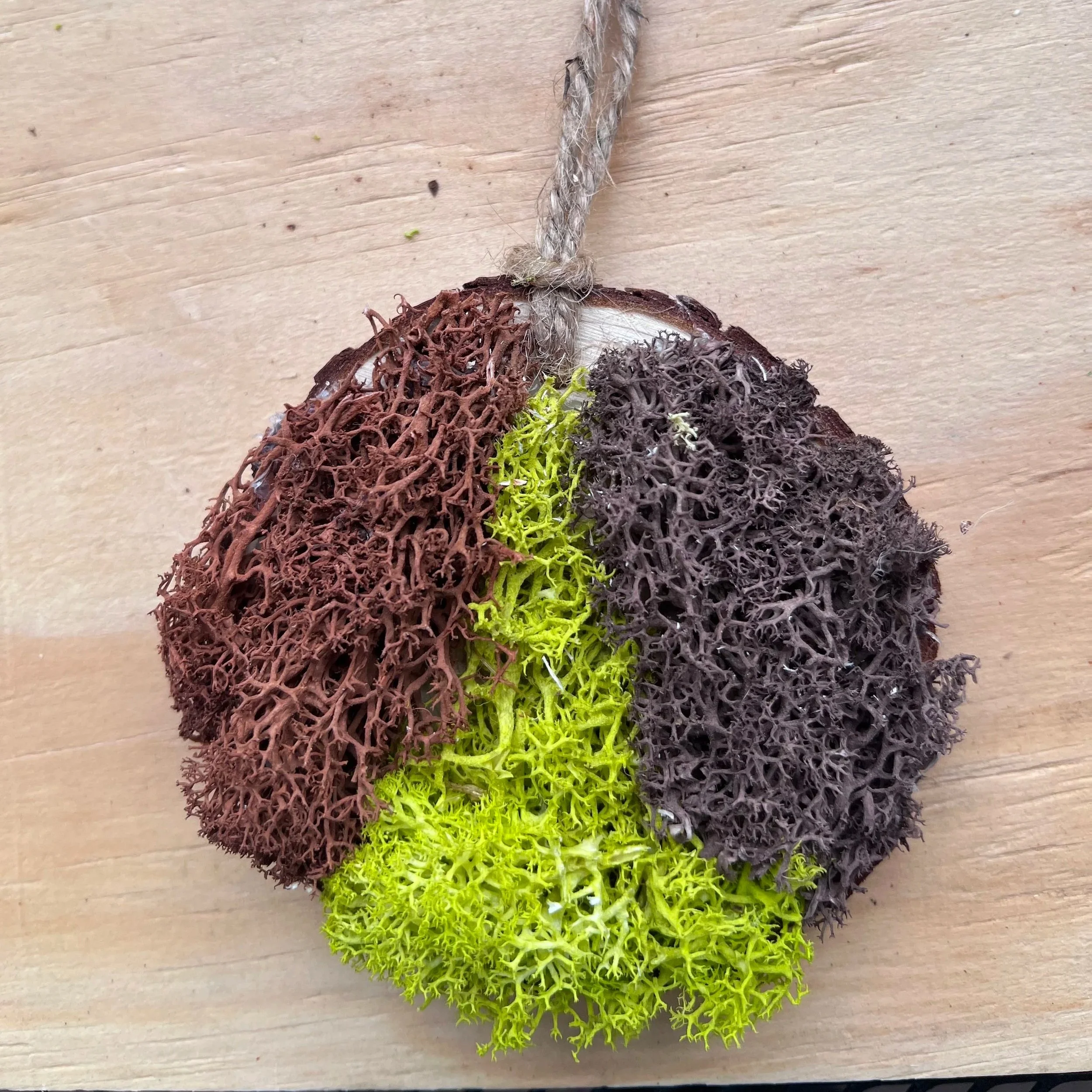 Moss Art Ornament - Colorful Peace