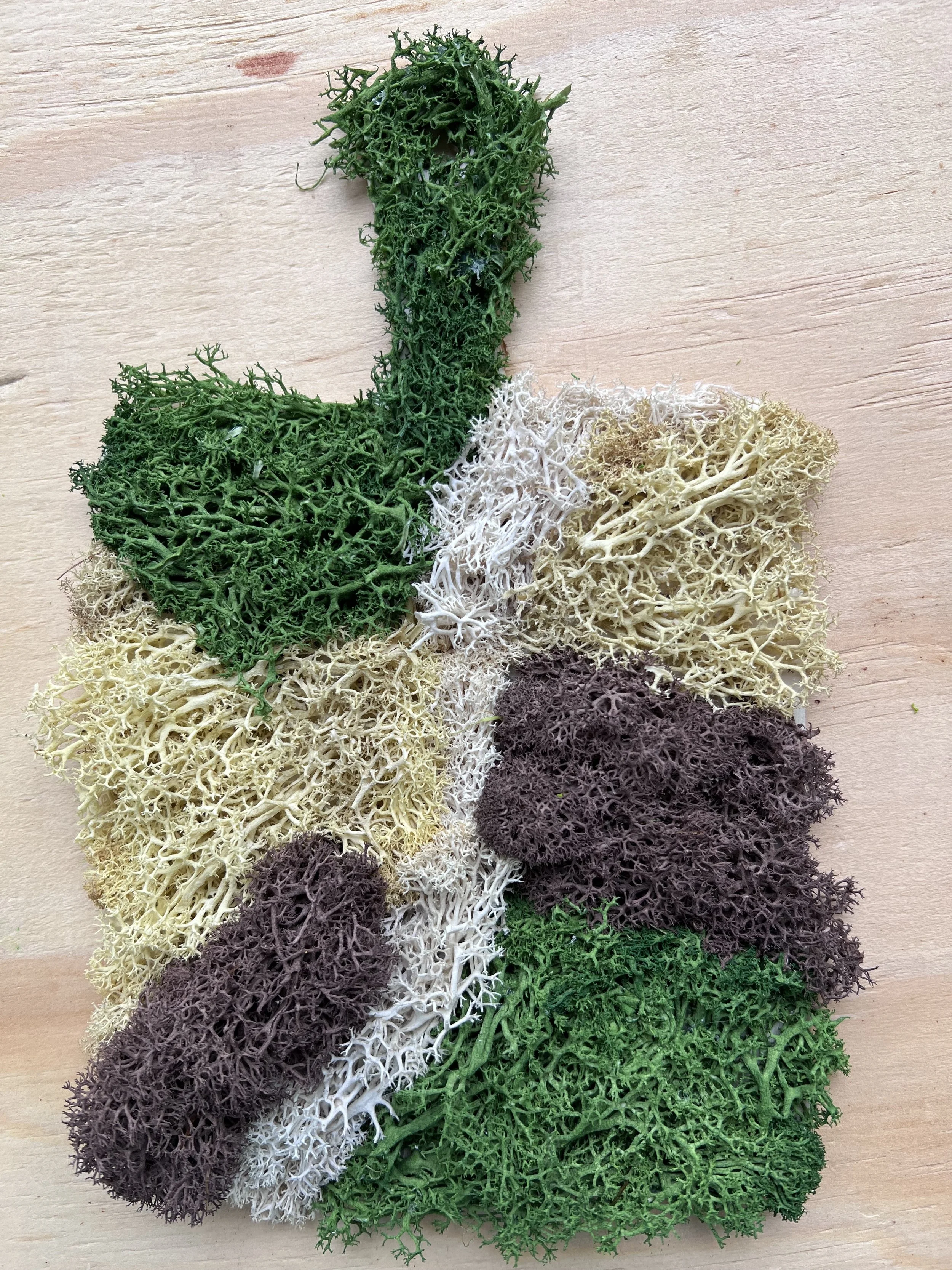 Moss Wall Art on Wooden Paddle - Forest Path