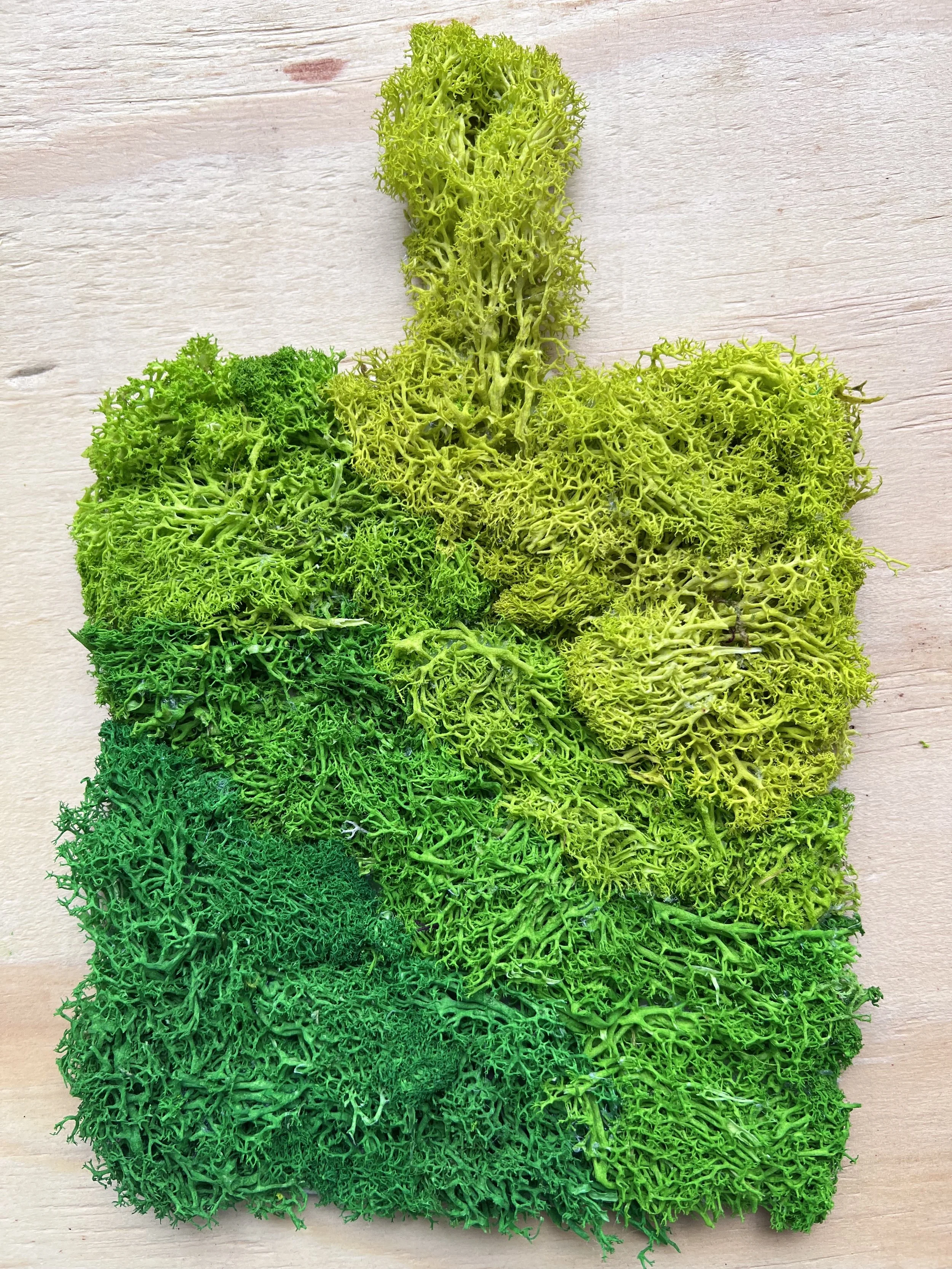 Moss Wall Art on Wooden Paddle - Spring Green Gradient