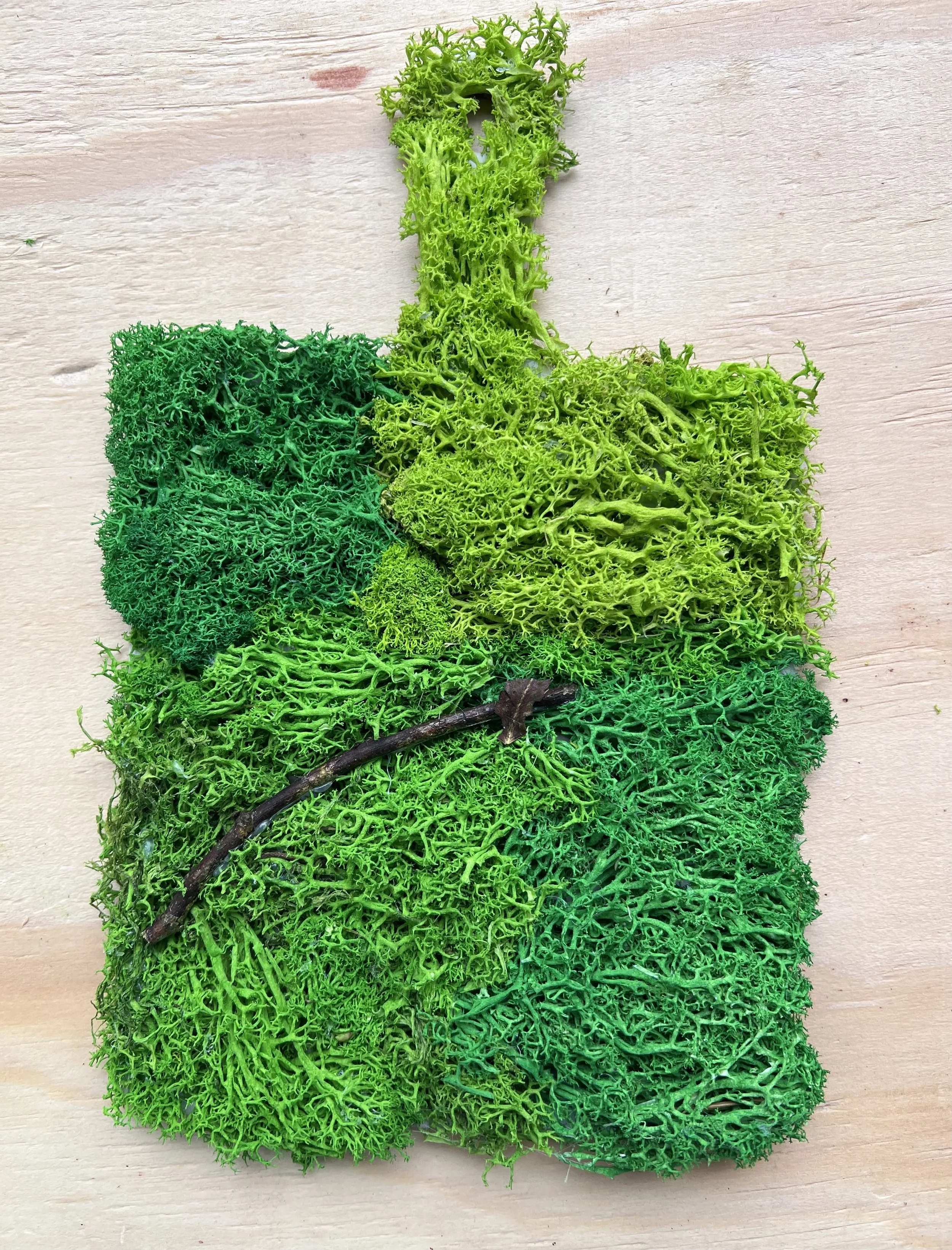 Moss Wall Art on Wooden Paddle - Summer Greens + Twig