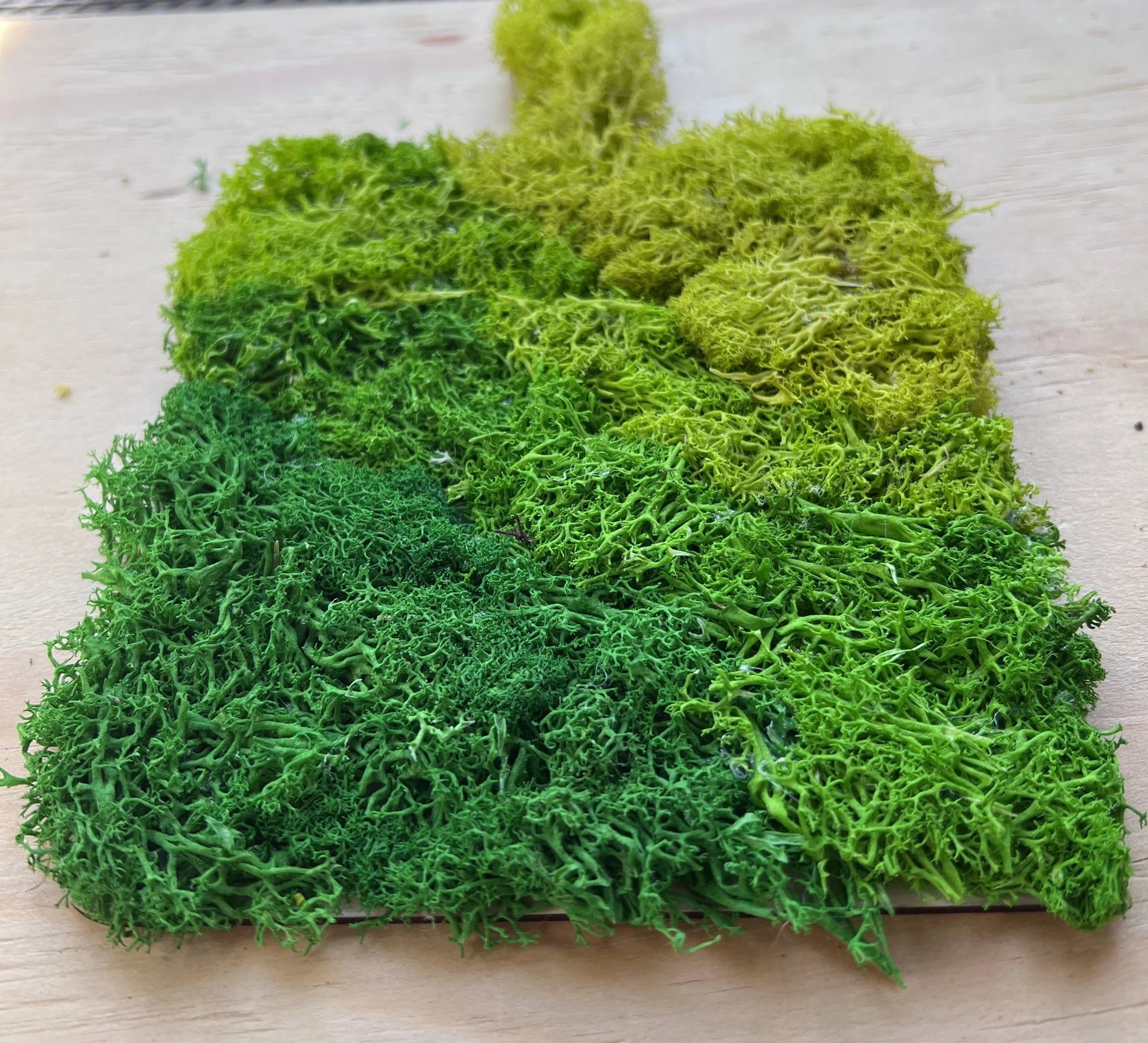 Green Gradient 2.jpg