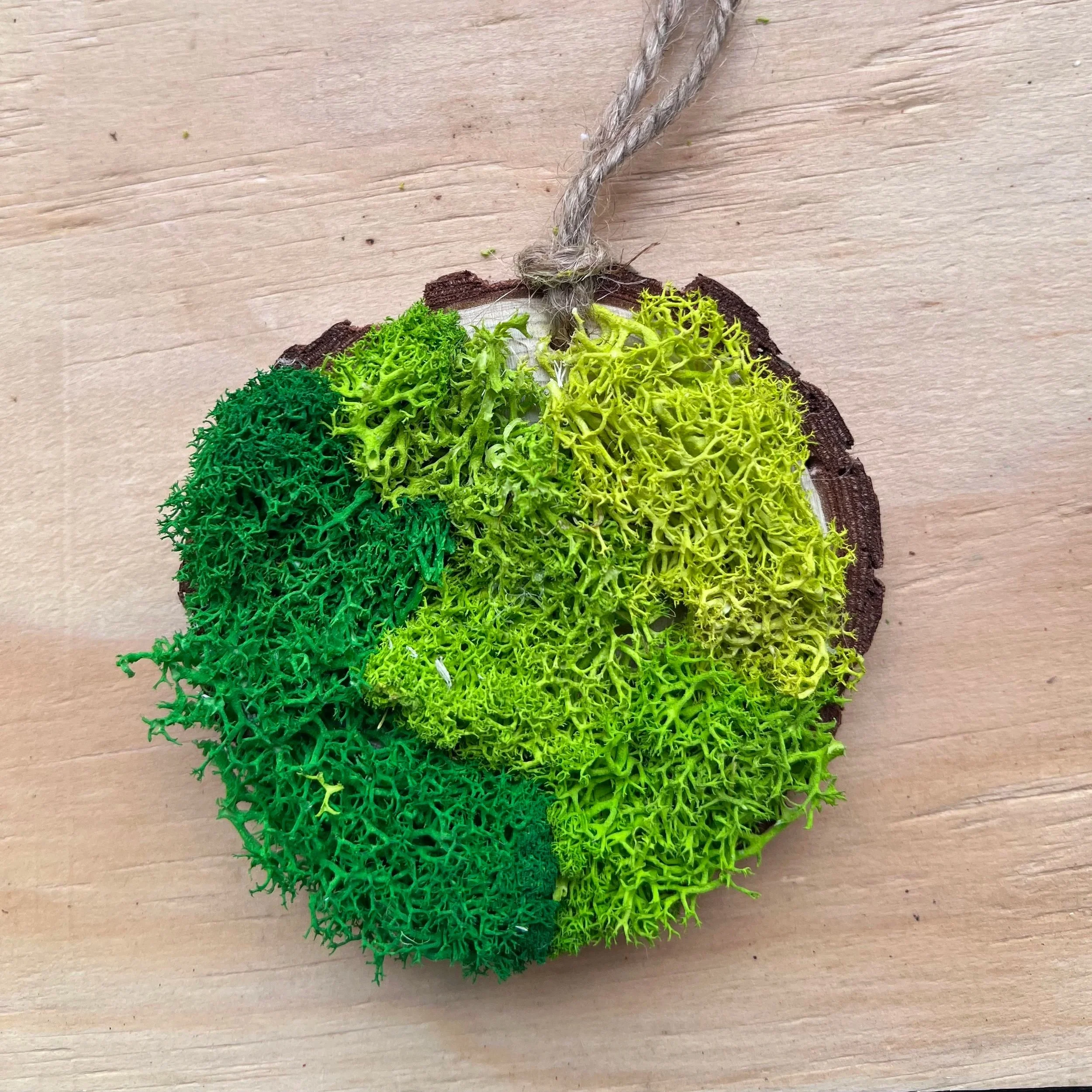 Moss Art Ornament - Green Spring