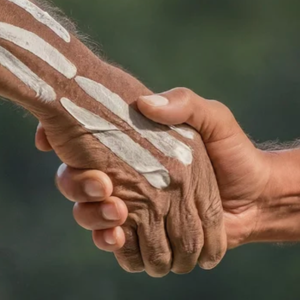 Develop and Review Reconciliation Action Plans