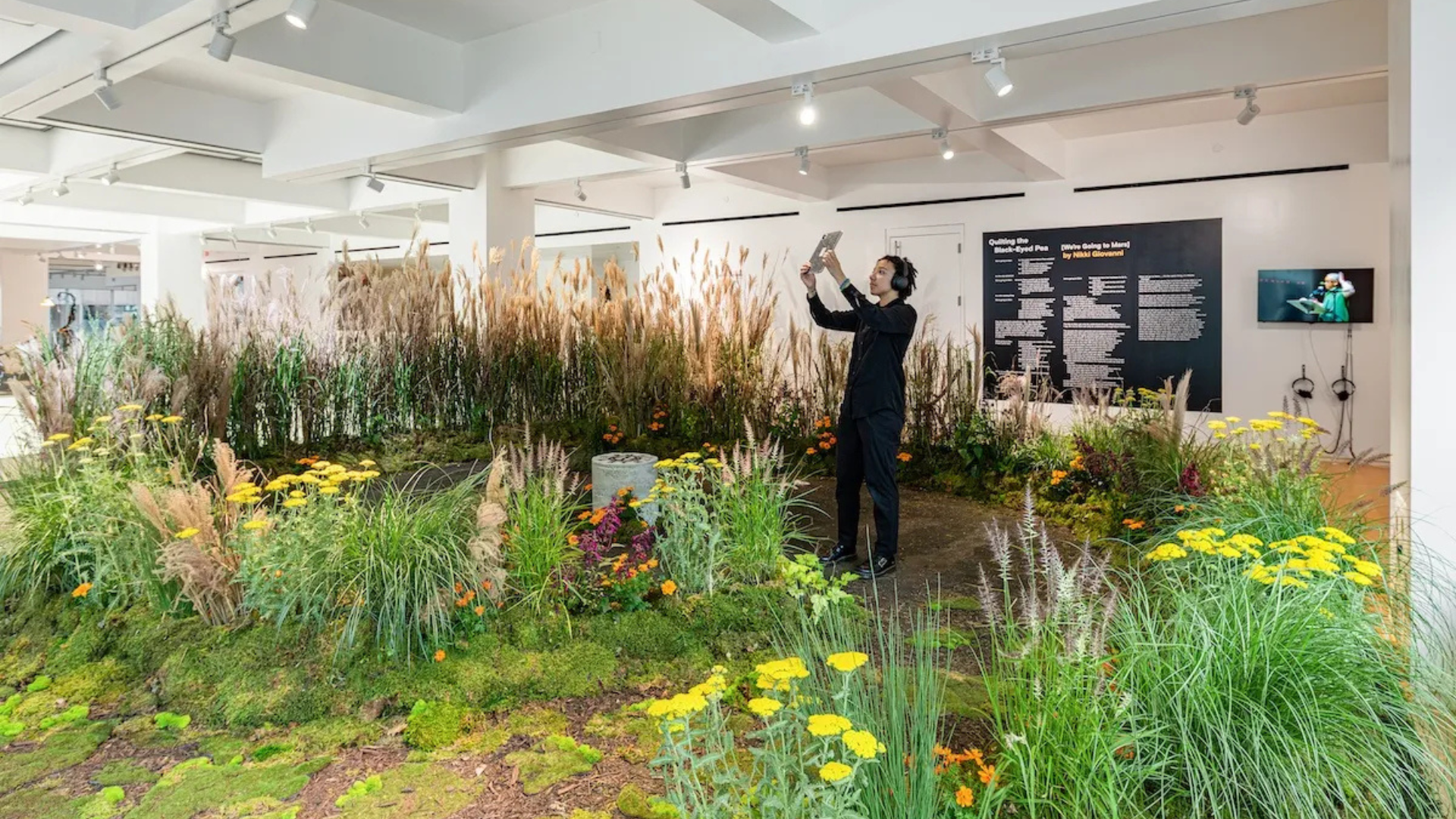 A person taking a photo with a phone inside a botanical exhibit with various grasses and flowers, in a modern indoor space.