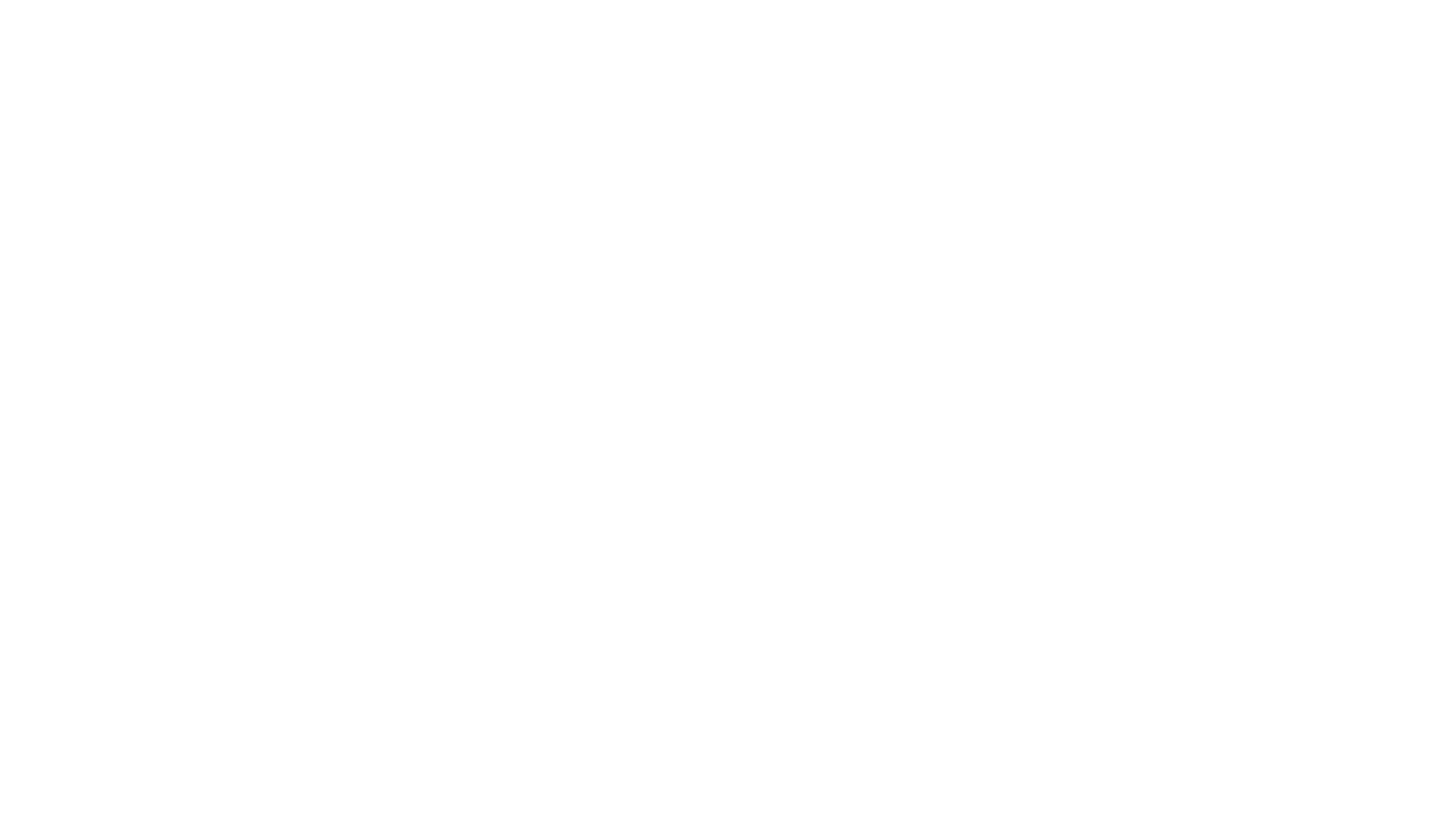 Official selection badge for the 2023 New York Film Festival, featuring white laurel branches on a black background with white text.