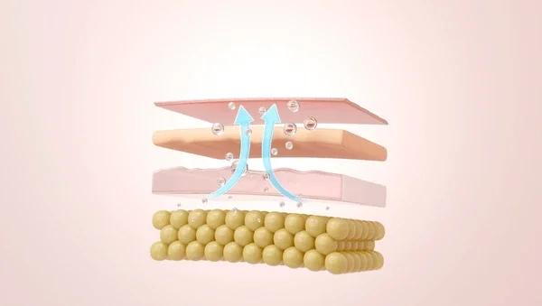 The Importance of Collagen for Healthy Skin