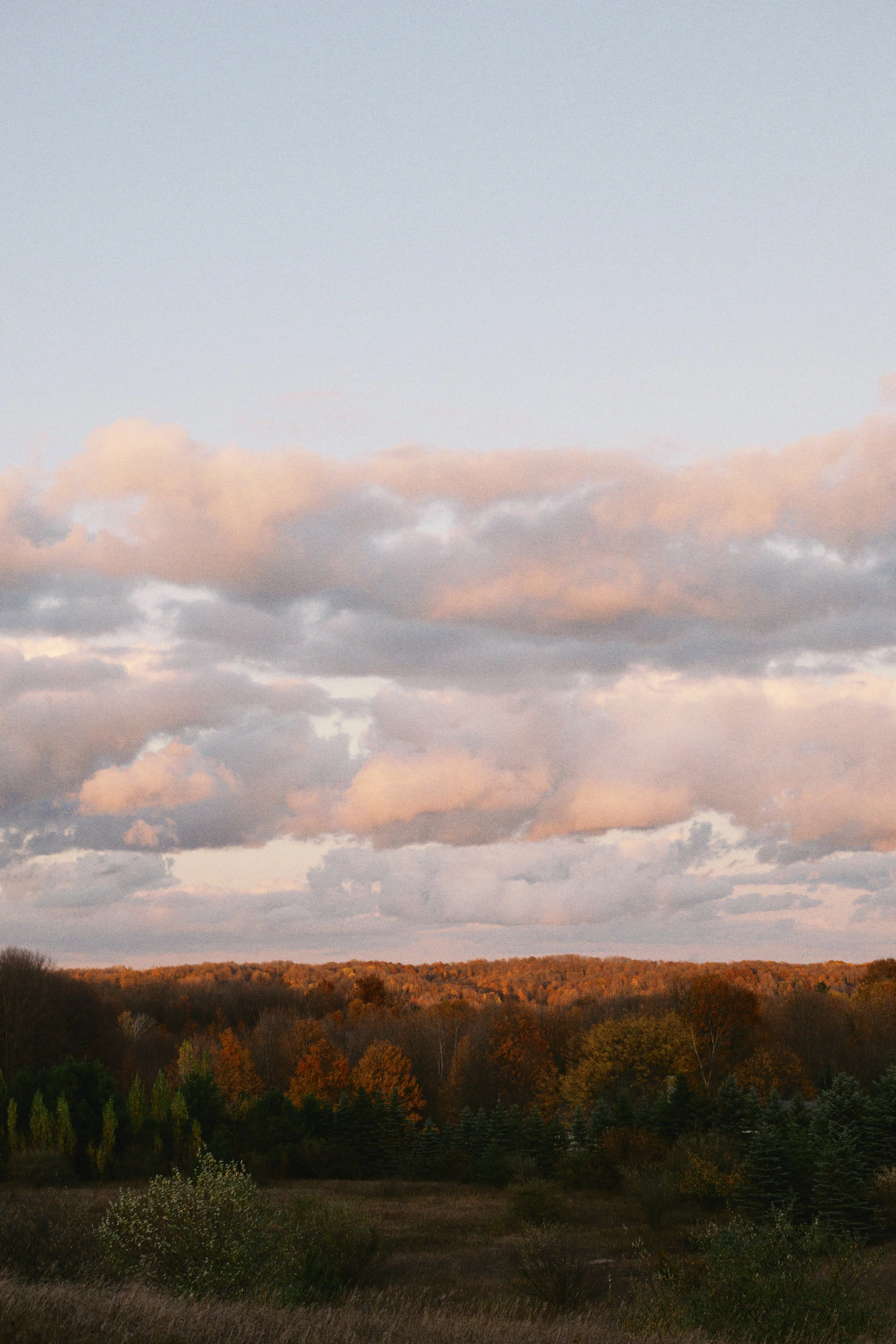 Copy of Jacob&Amanda_Wedding-966.jpg