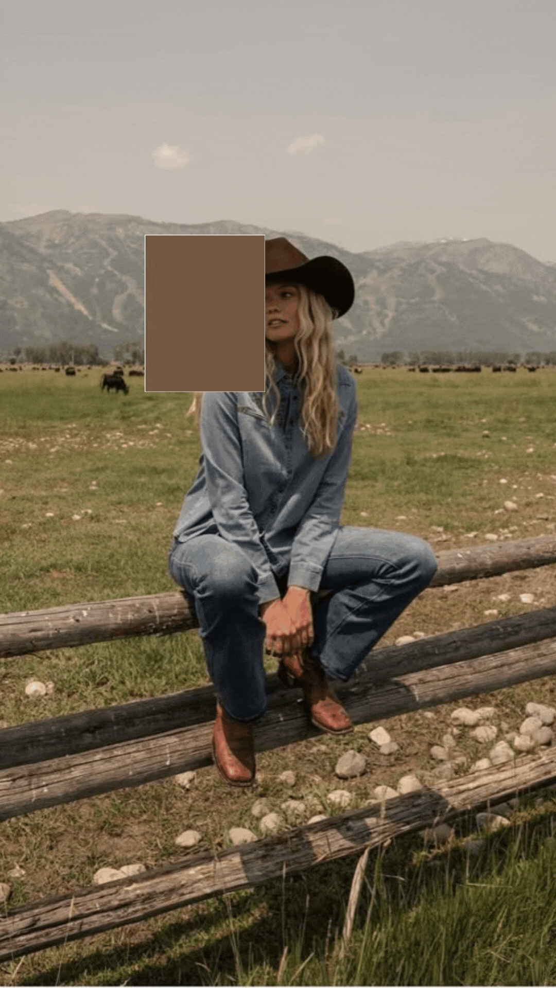 Untitled design (1).gif