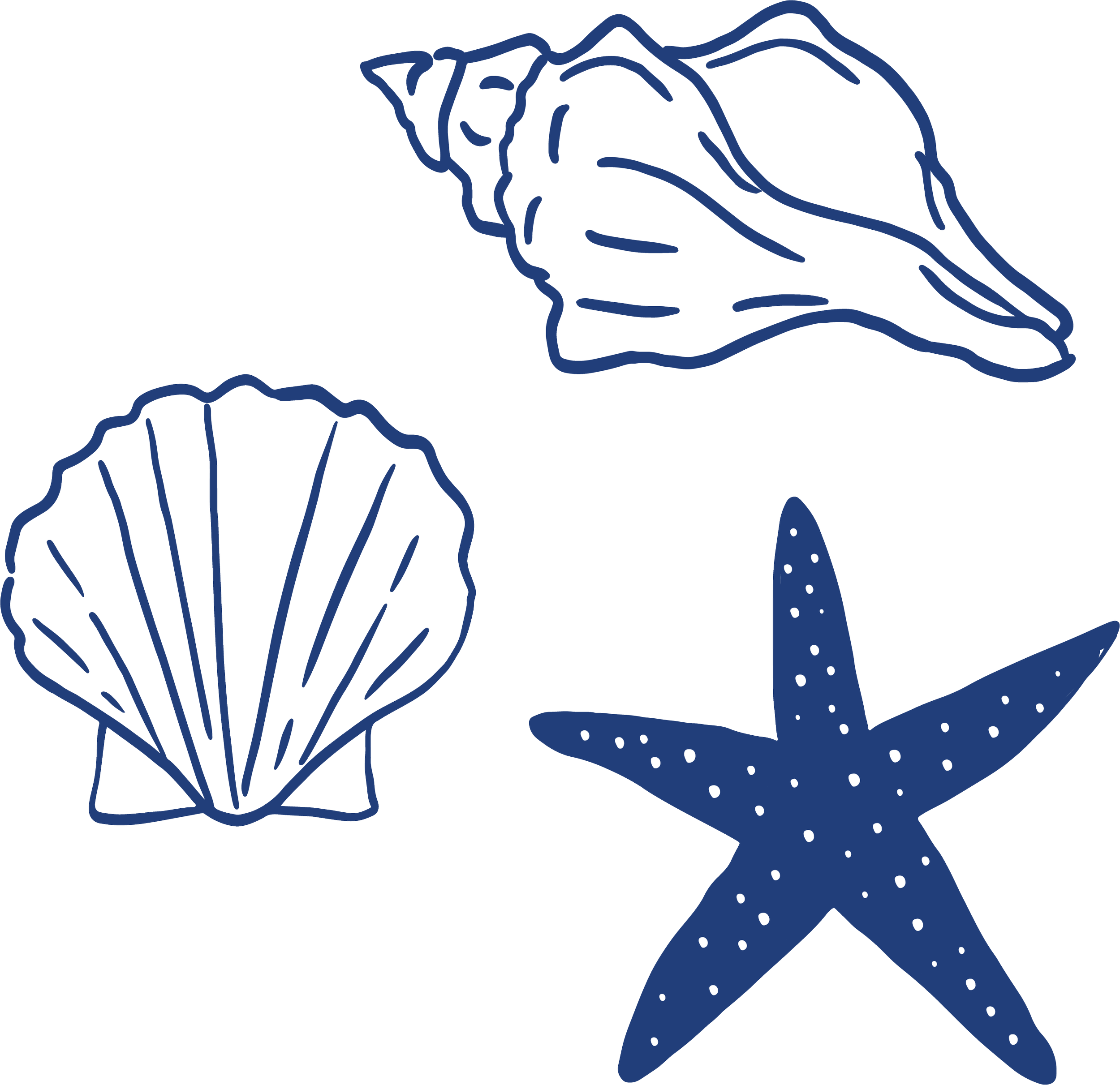 Line drawing of two seashells and a starfish, all in blue, on a black background.