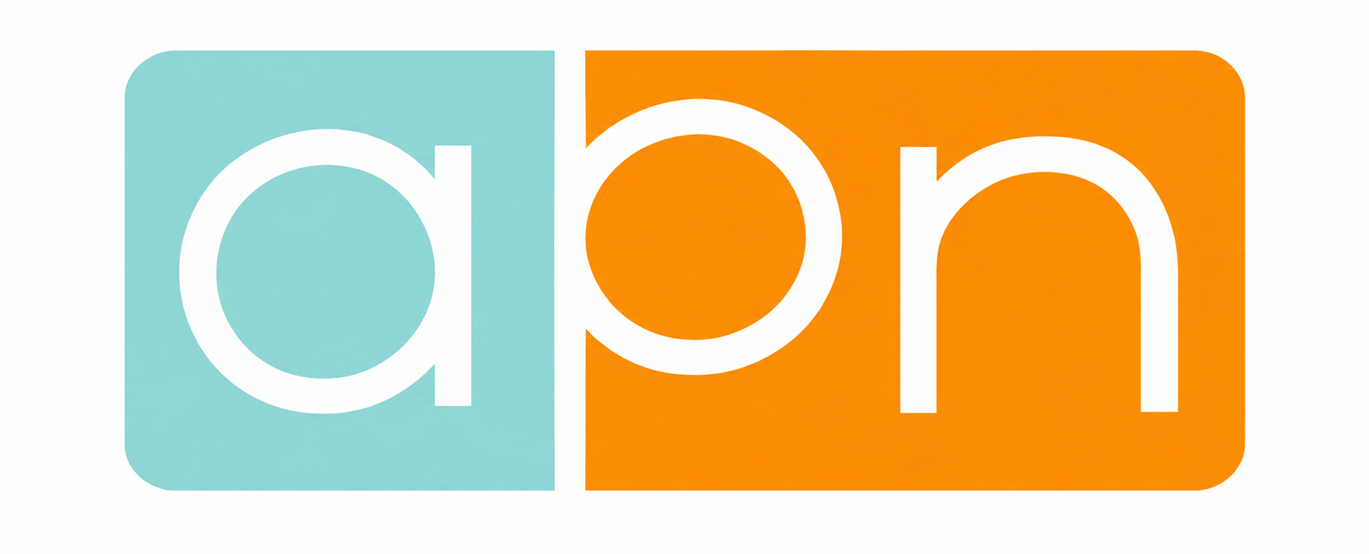 Client Success Story APN Group