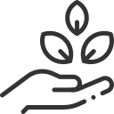 Outline of a hand holding a plant with three leaves