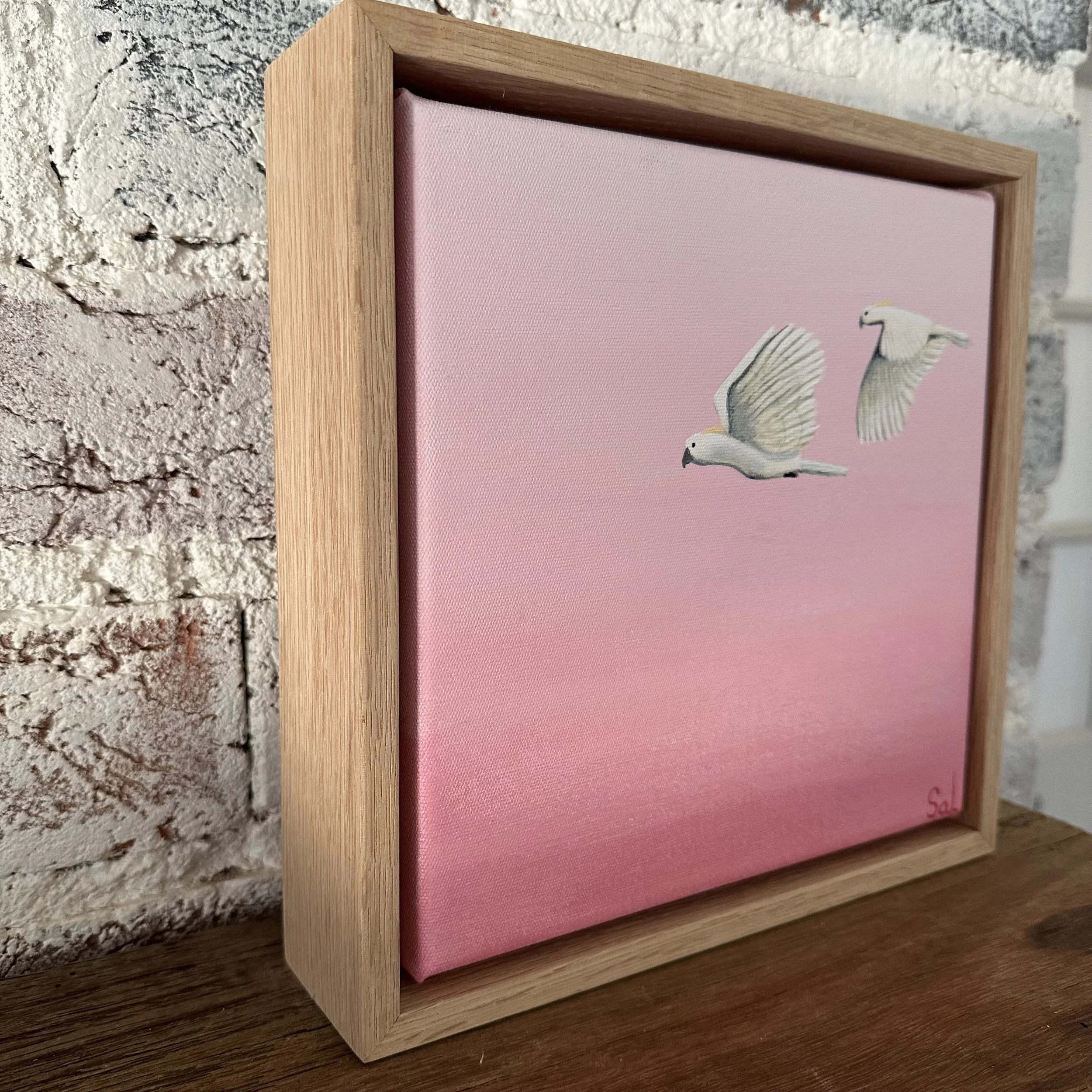 IMG_5475 - Sally Montgomery.jpeg