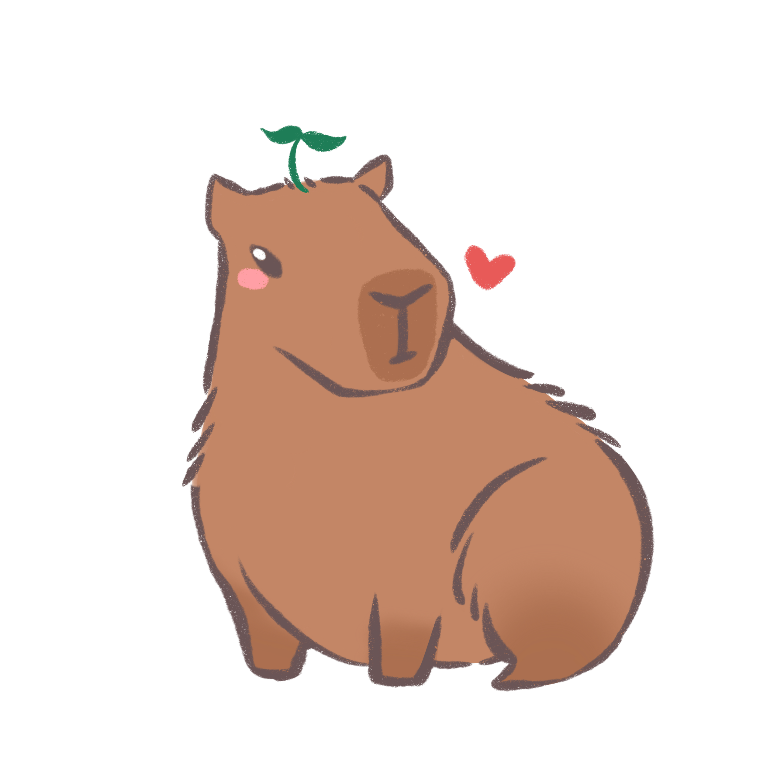 Capybara.png