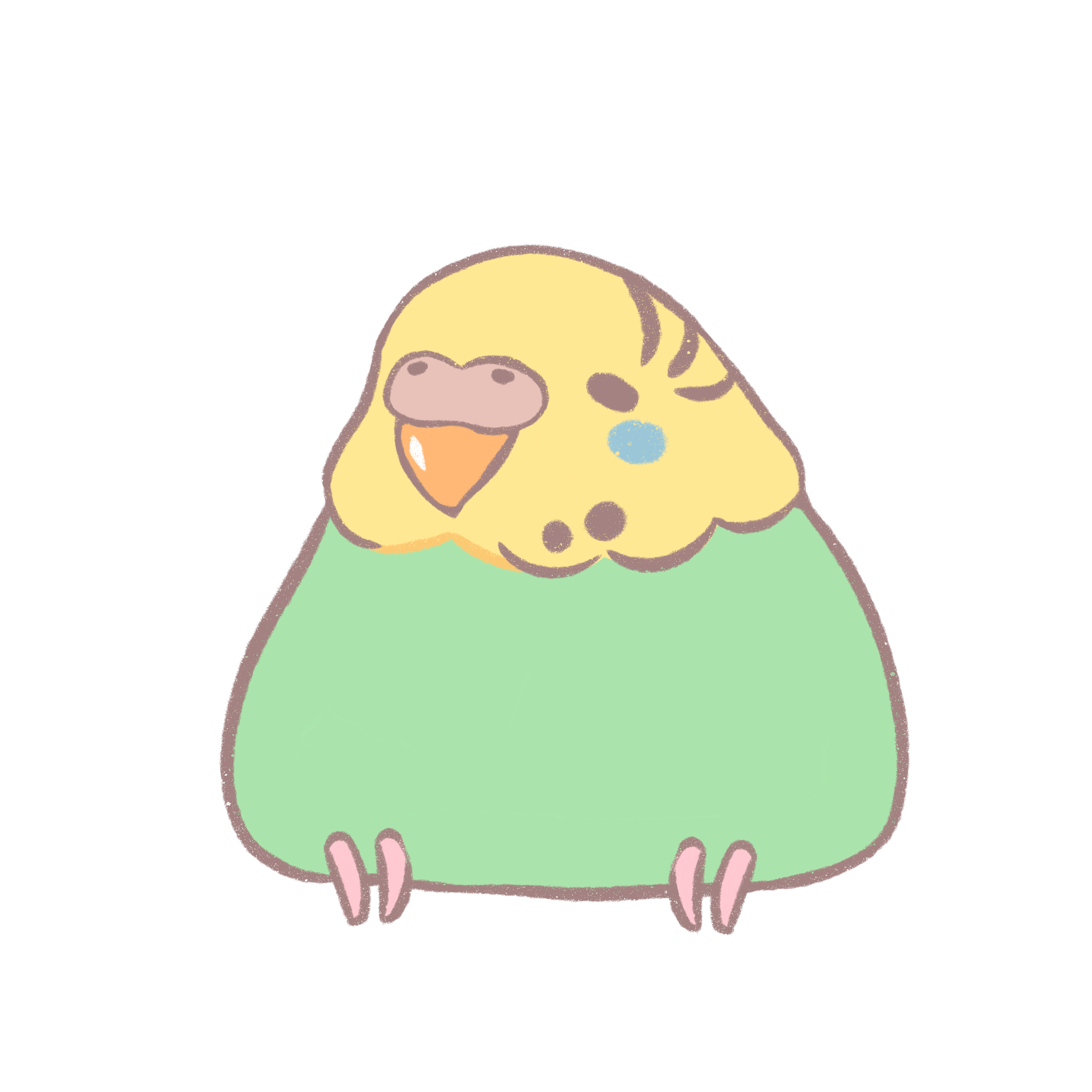 Budgie.png