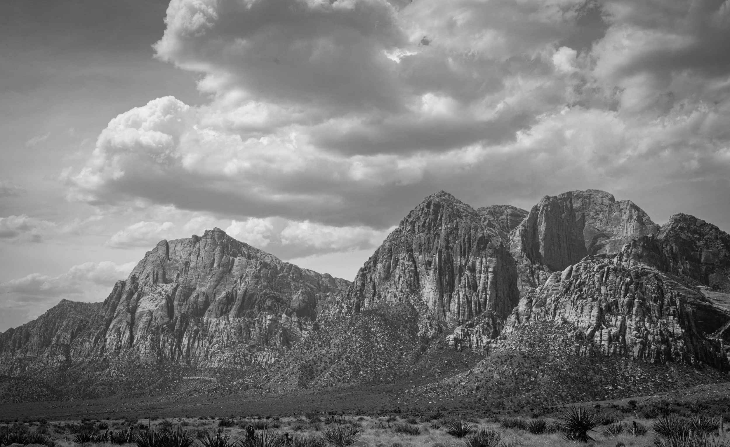 20240514_RedRockCanyon_GFX-50sII_DSCF1009.jpg