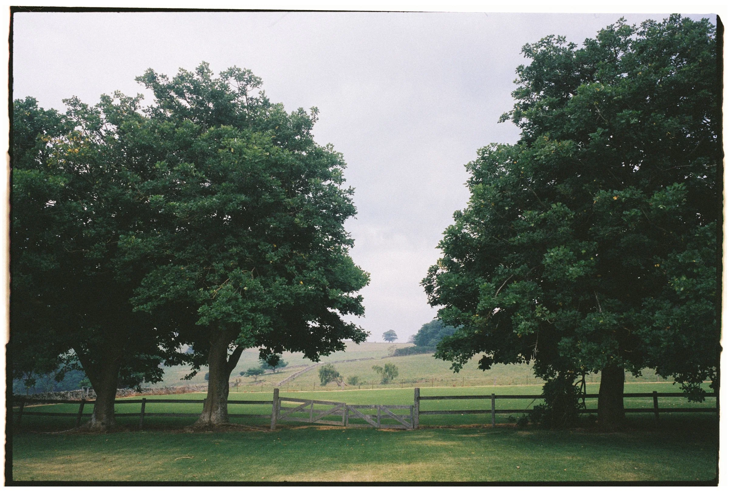 Sydney Wedding Film Photographer-107.jpg