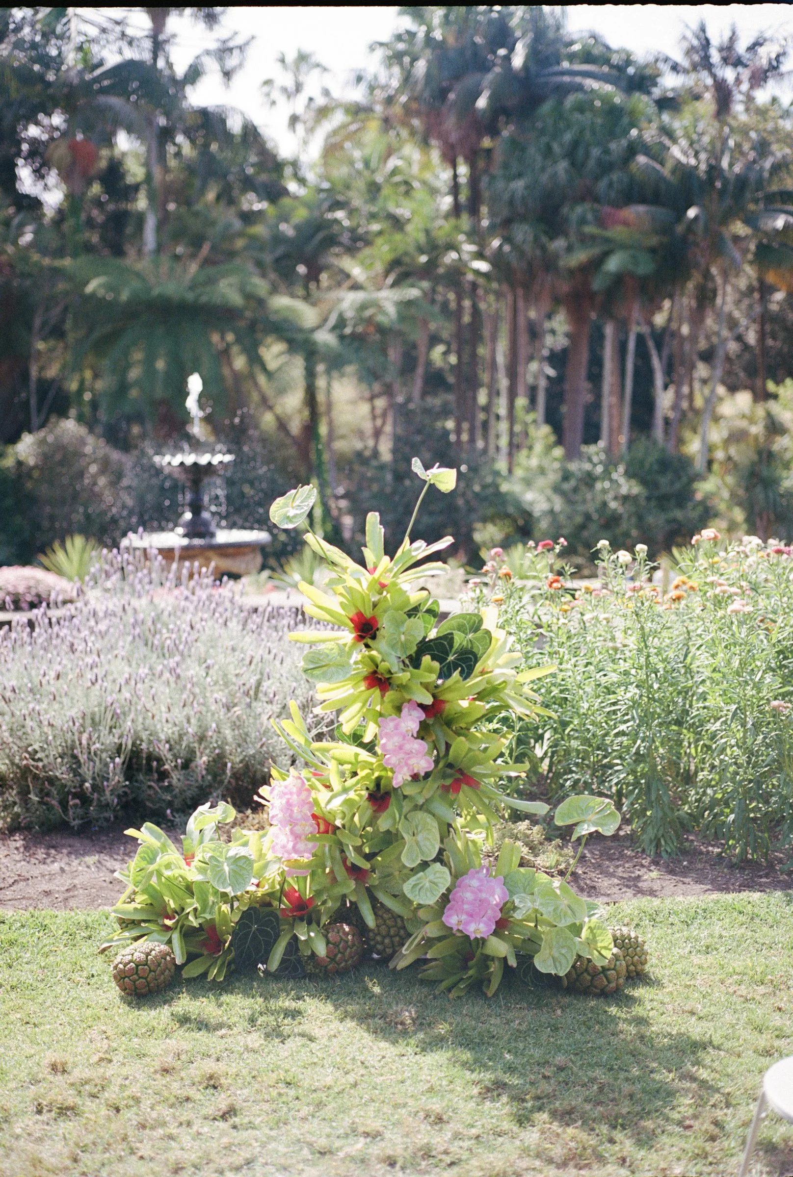 Sydney Wedding Film Photographer-63.jpg