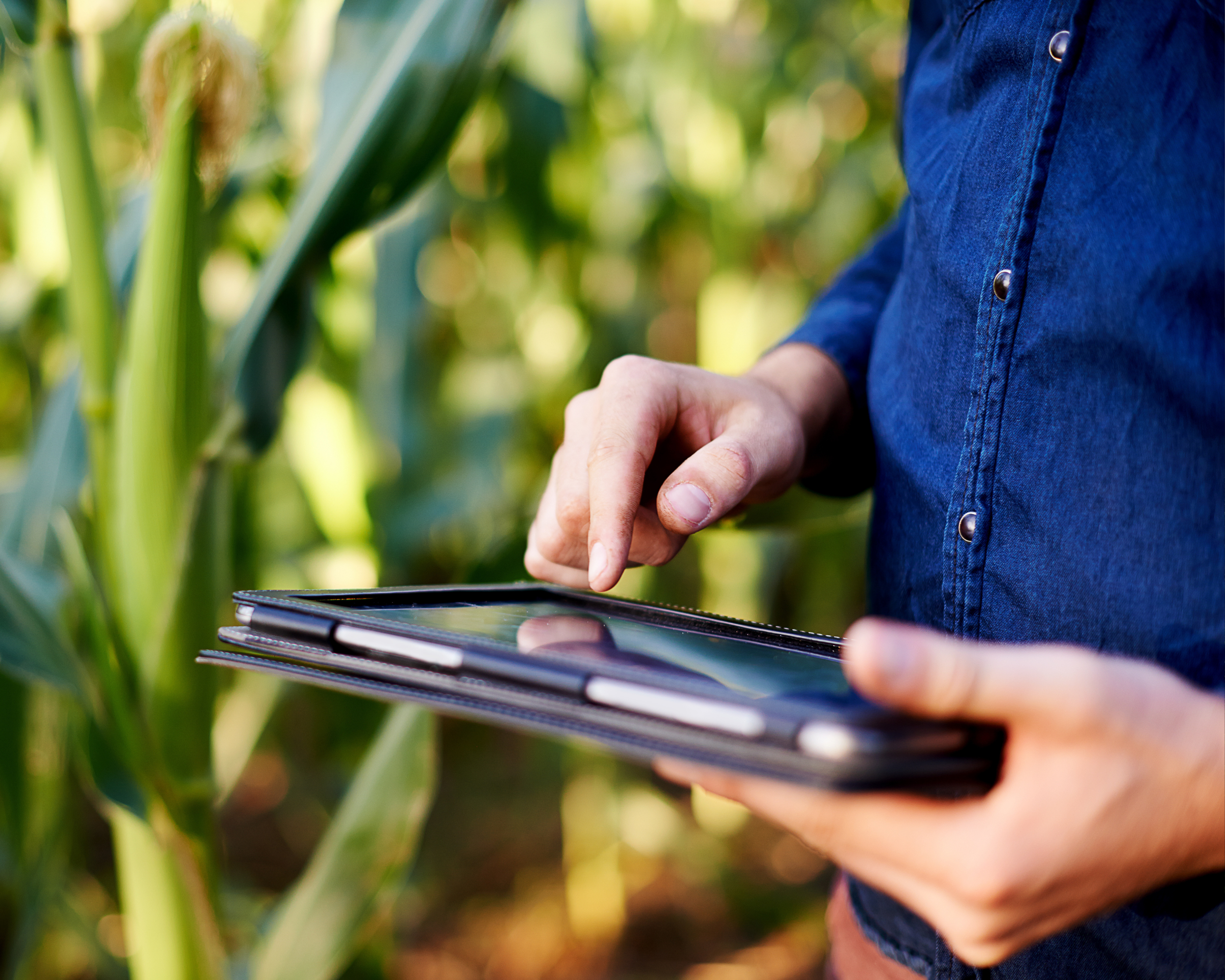 AG carousel image home page.png