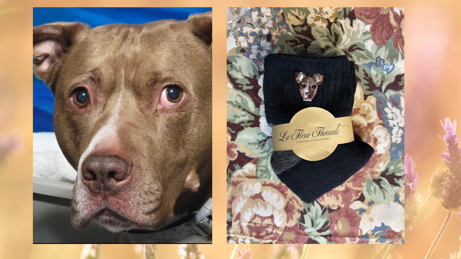 Untitled design (19).png