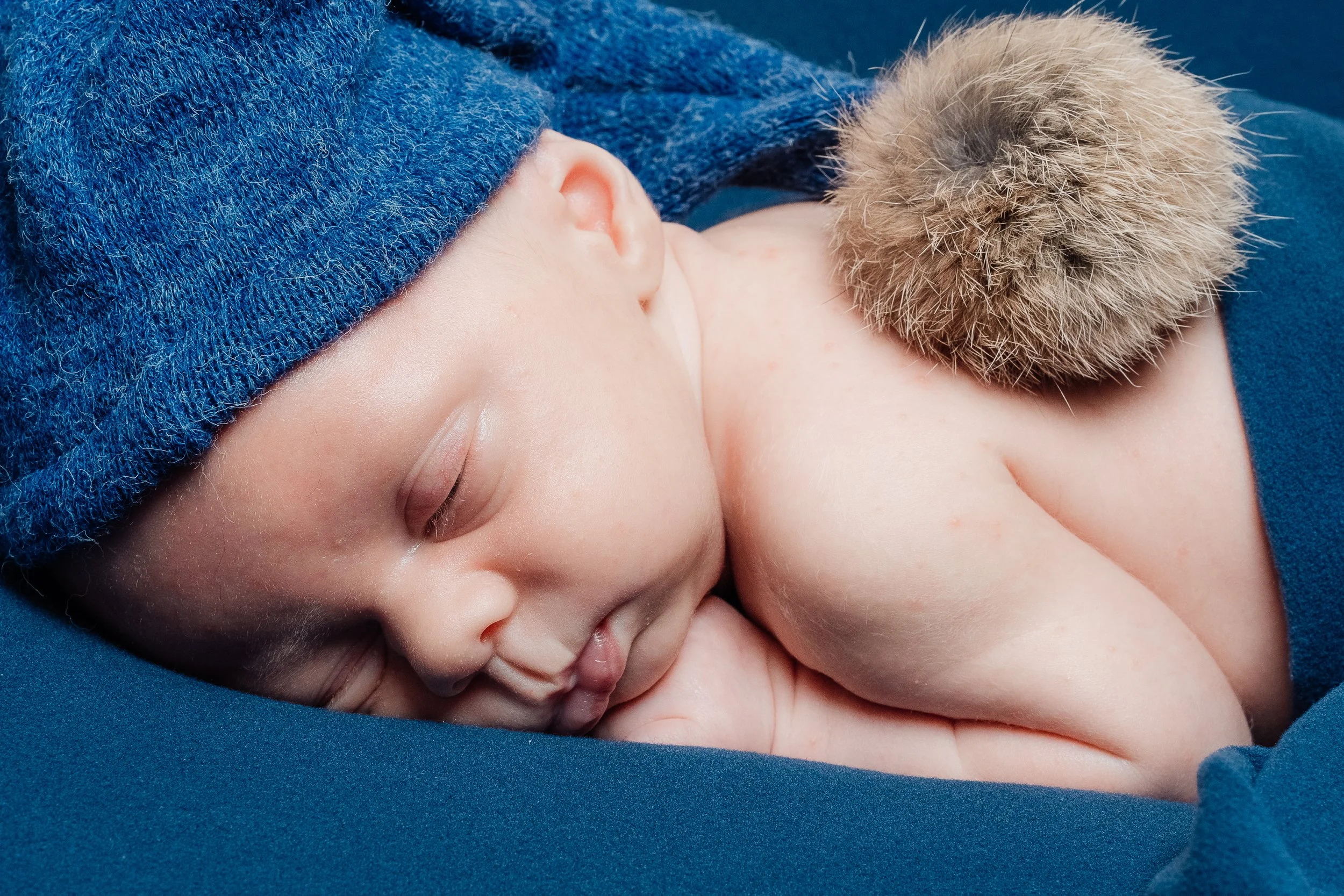 Newborn-66.jpg