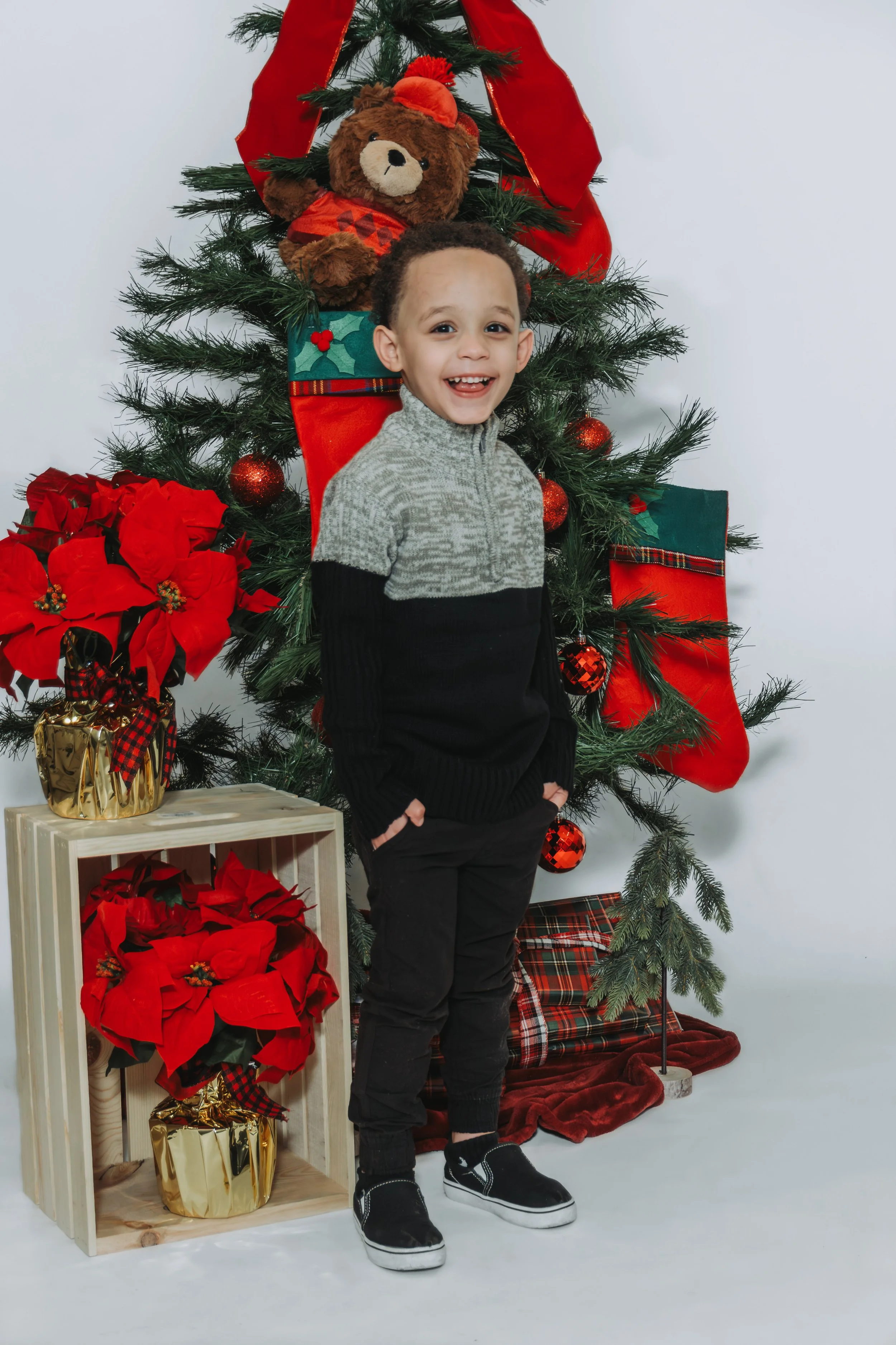 Christmas - Mini Session - Pennsylvania - Christmas Mini Session