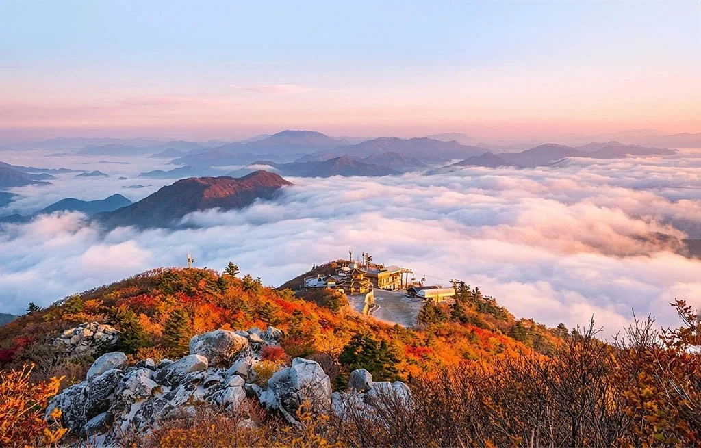 Tour Côte centre Novembre