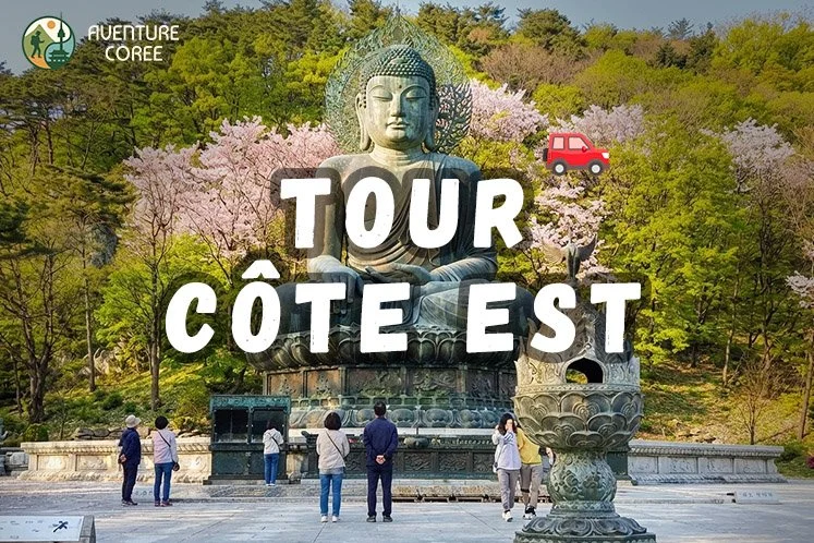 Tour Côte est: La côte de l’aventure
