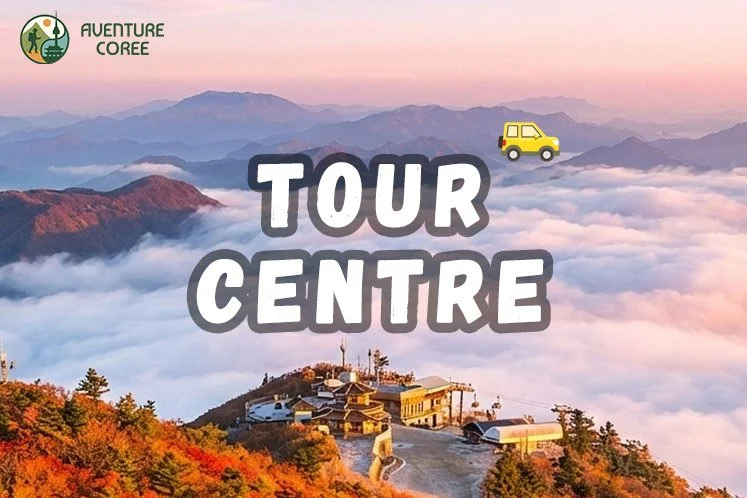 Tour Centre : L’aventure, à la coréenne