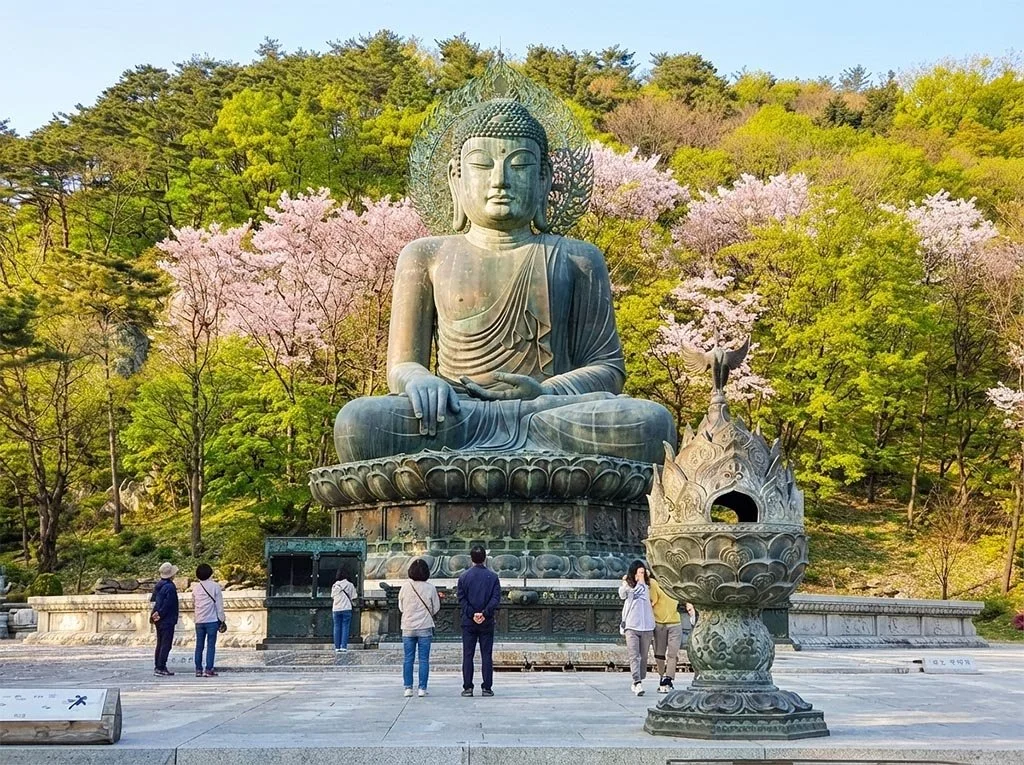 Tour Côte est Cerisiers