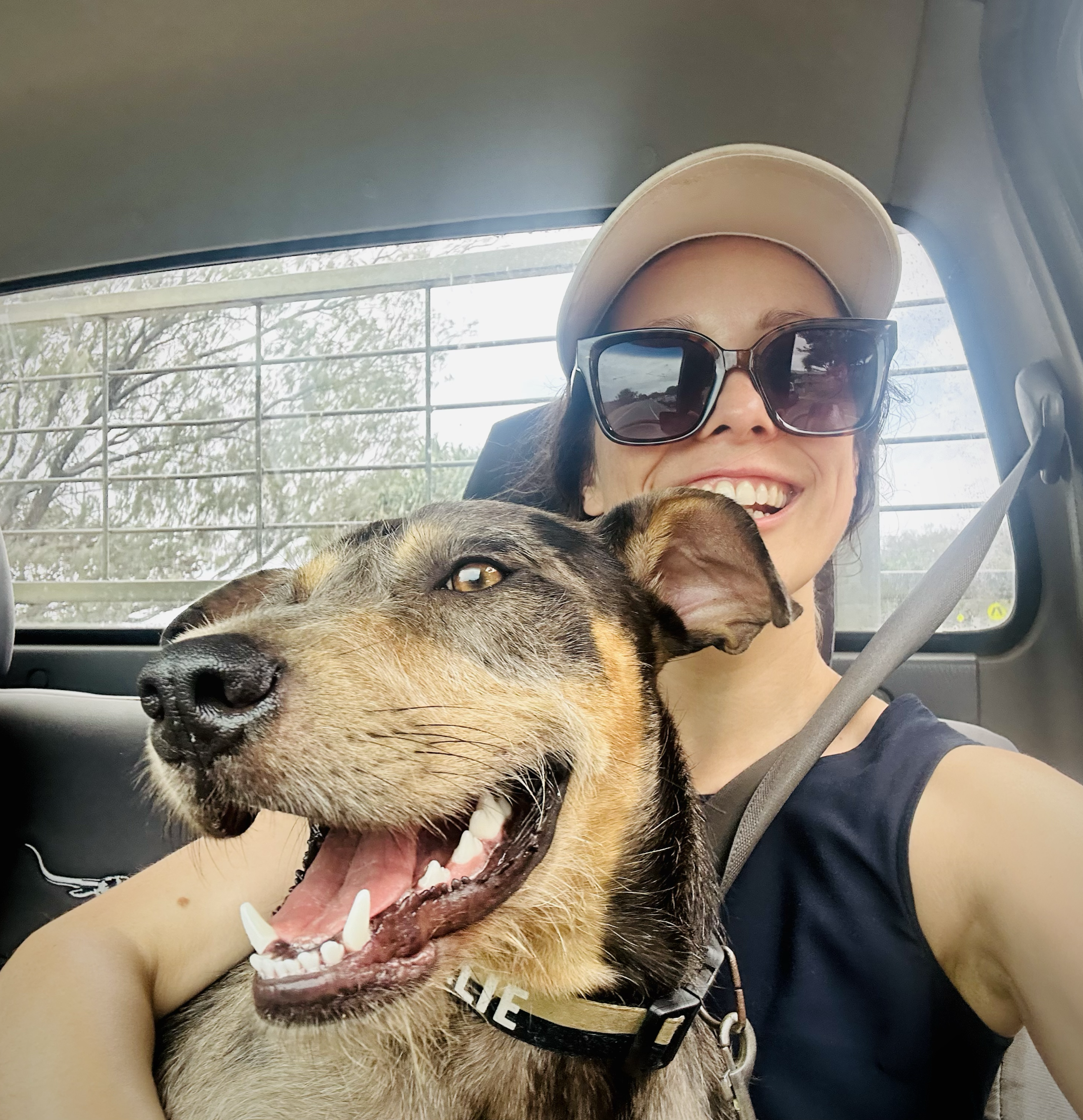 Homestay Tall Puppy